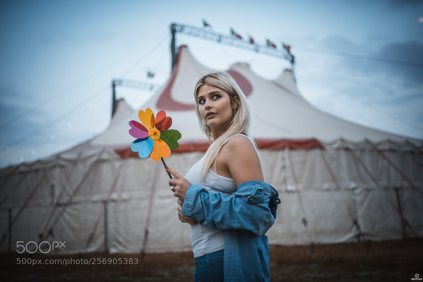 Nikon D750 sample photo. Circus photography