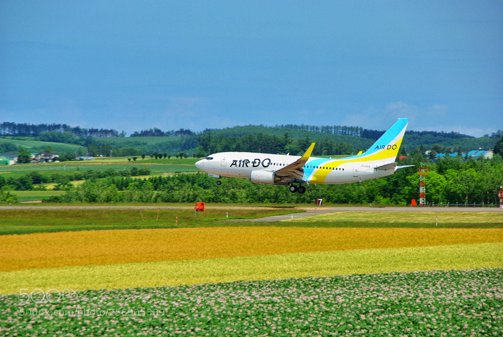 Pentax K10D sample photo. Floral airport :) photography