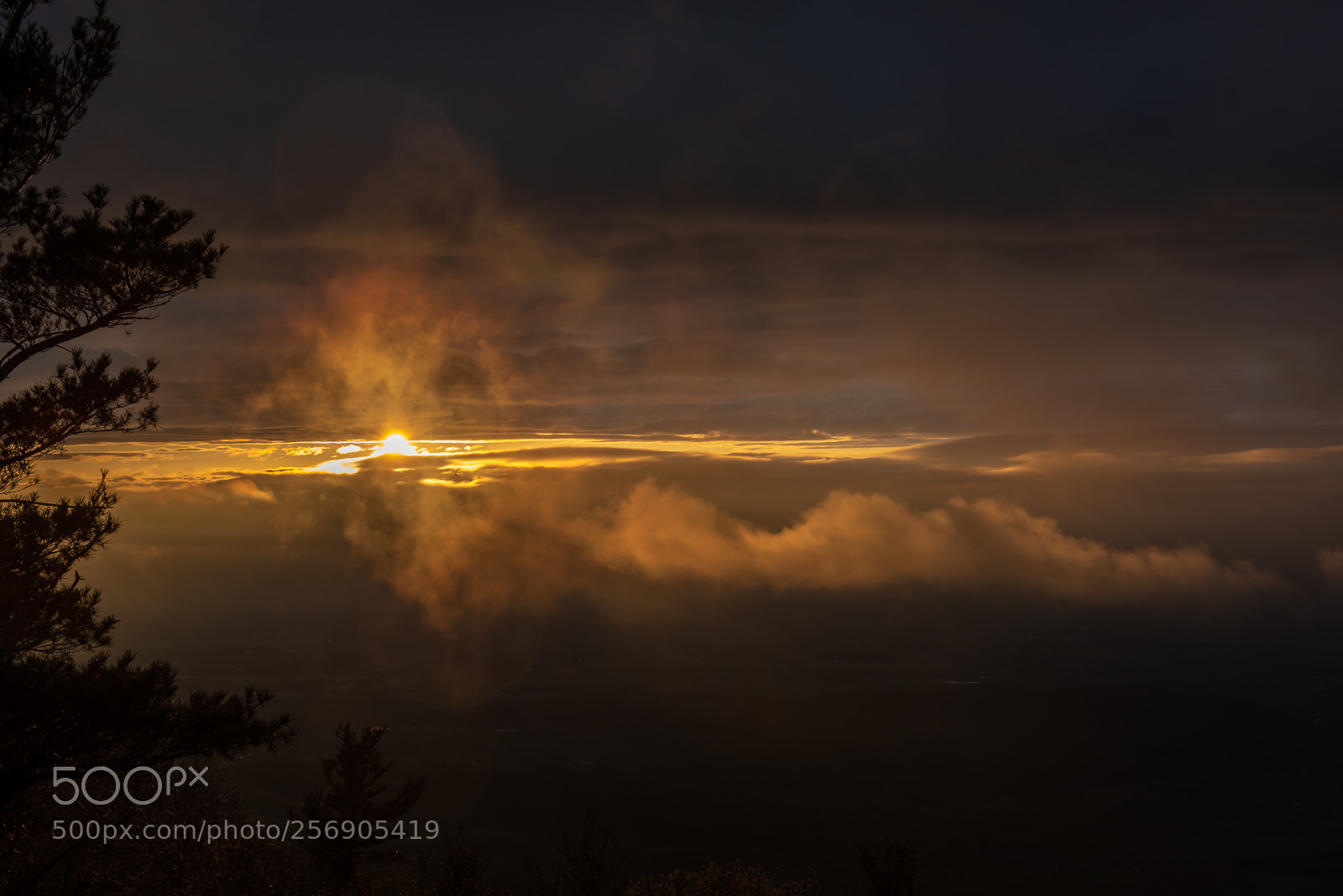 Nikon D810 sample photo. Sunset on skyline drive photography