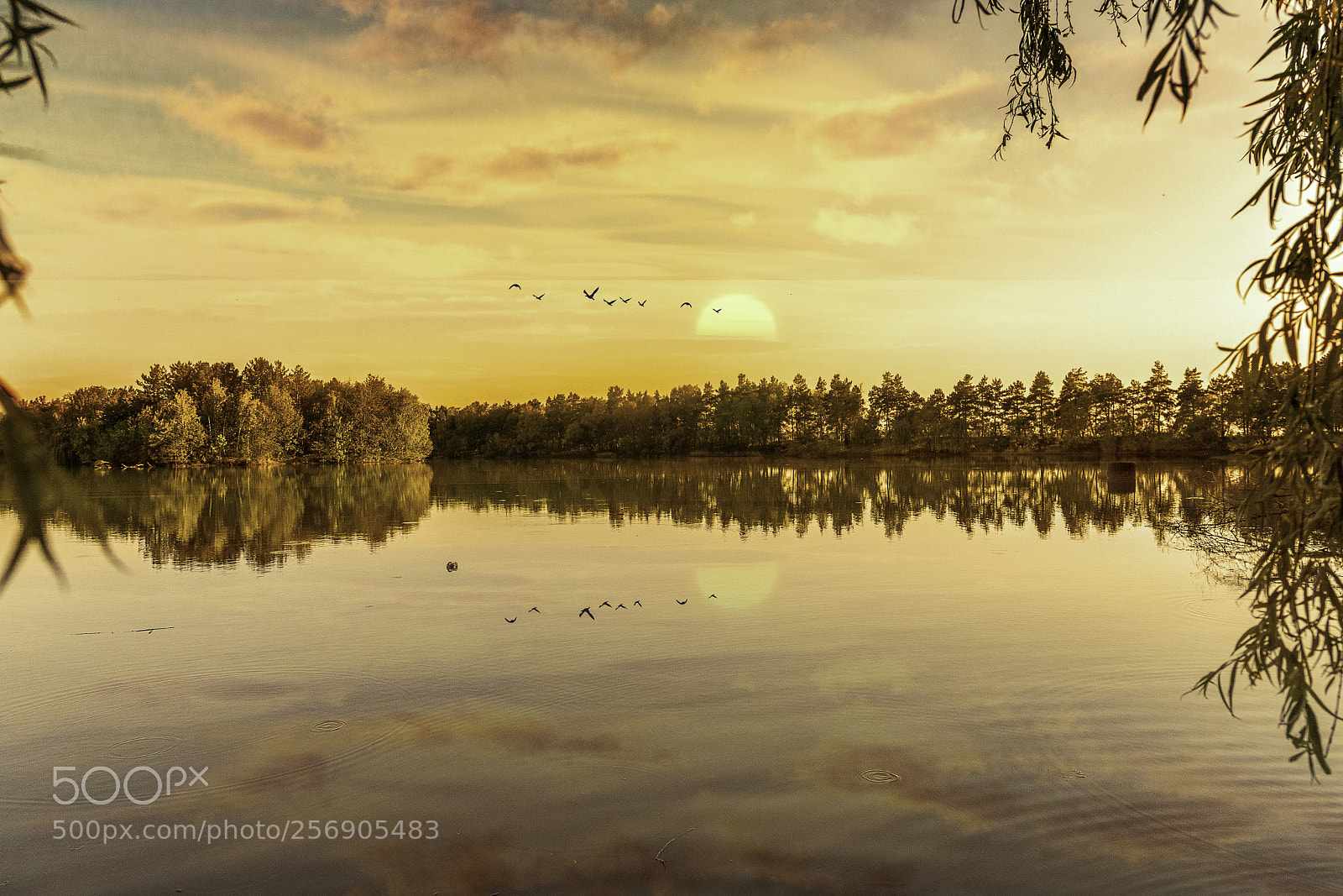 Canon EOS 6D Mark II sample photo. Lake photography
