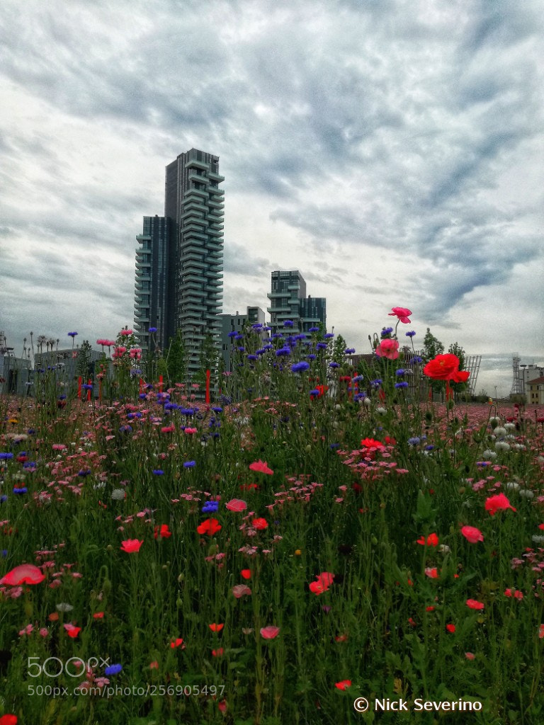 HUAWEI P9 LITE sample photo. Milano porta nuova photography
