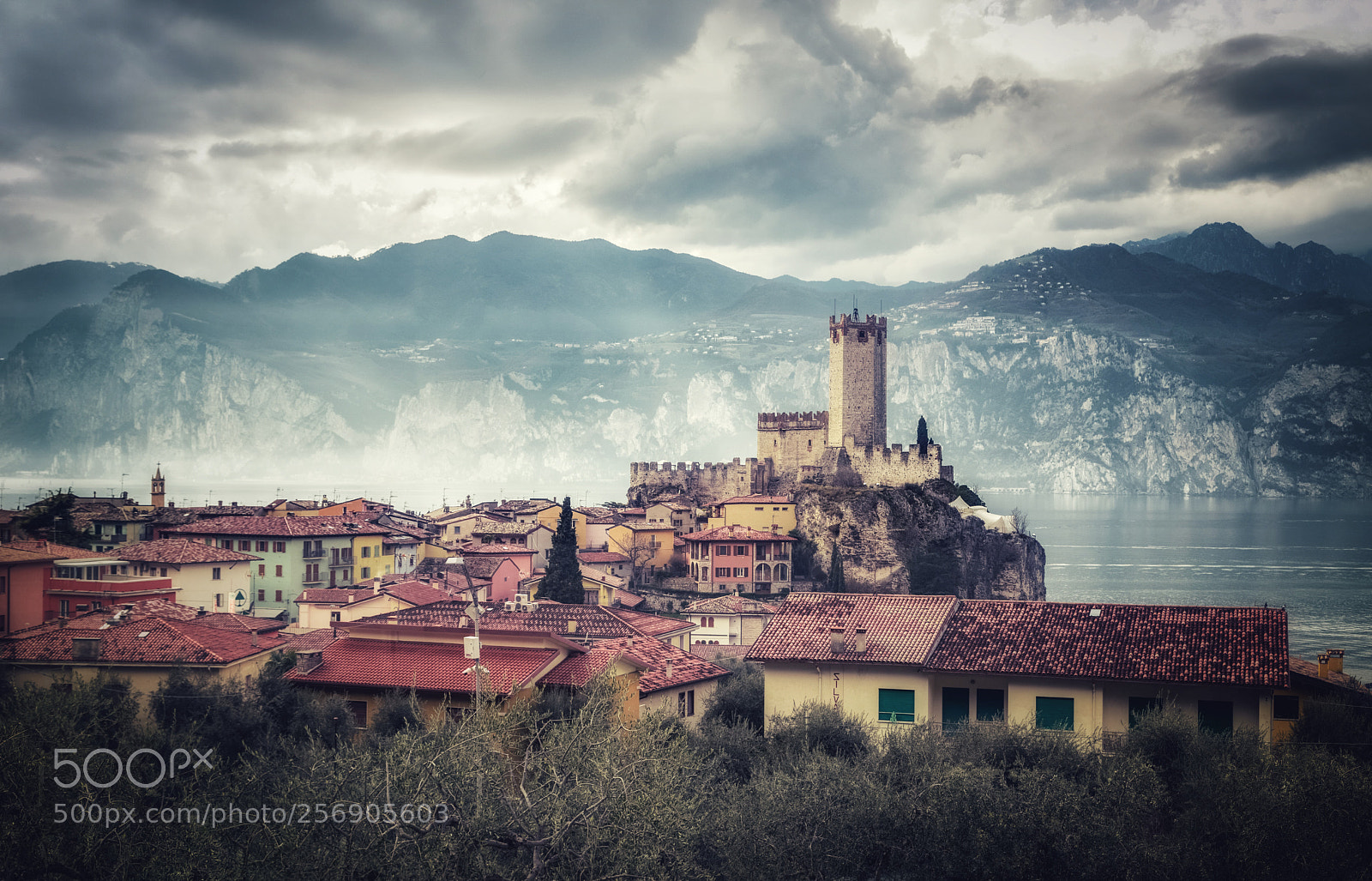Sony a7 II sample photo. Gardasee photography