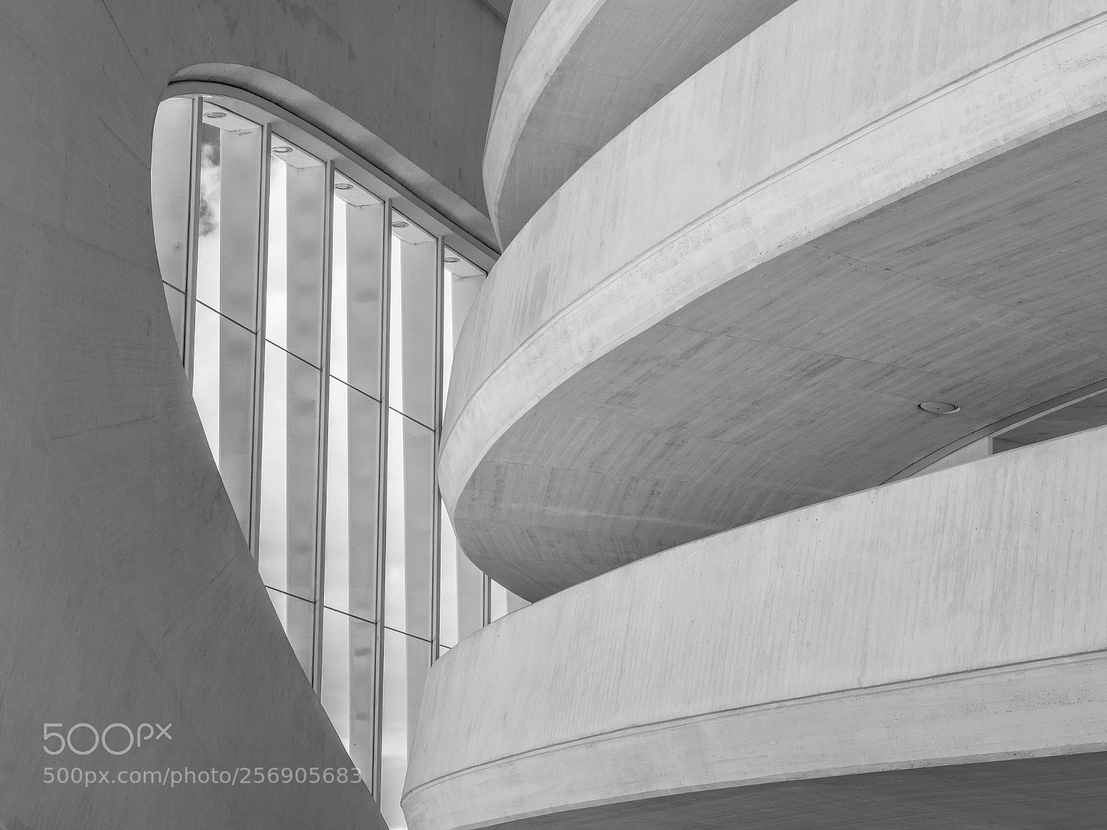 Sony a7 III sample photo. Inside valencia's opera house photography