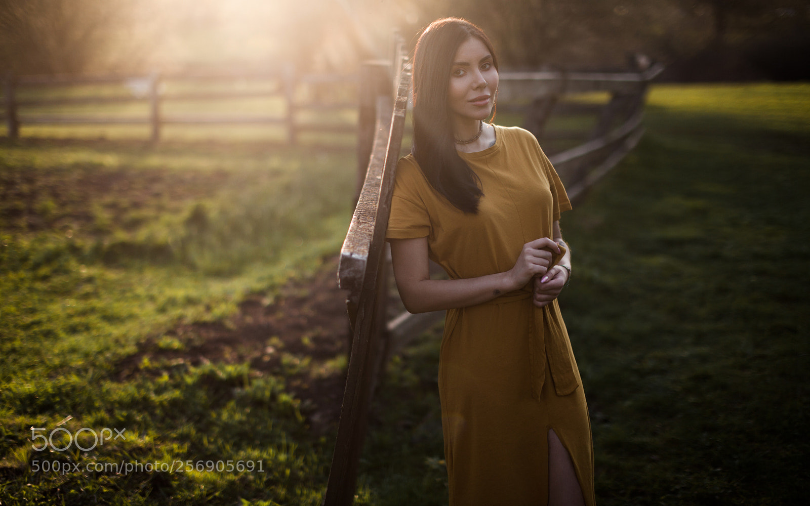 Canon EOS 5D Mark II sample photo. Untitled photography