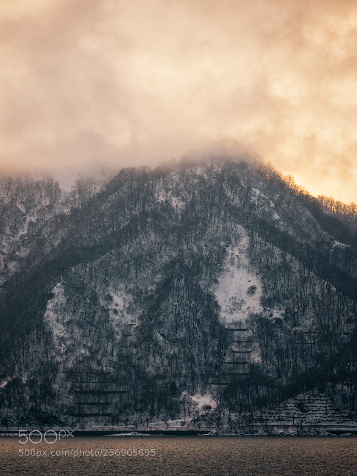 Sony a7R III sample photo. Untitled photography