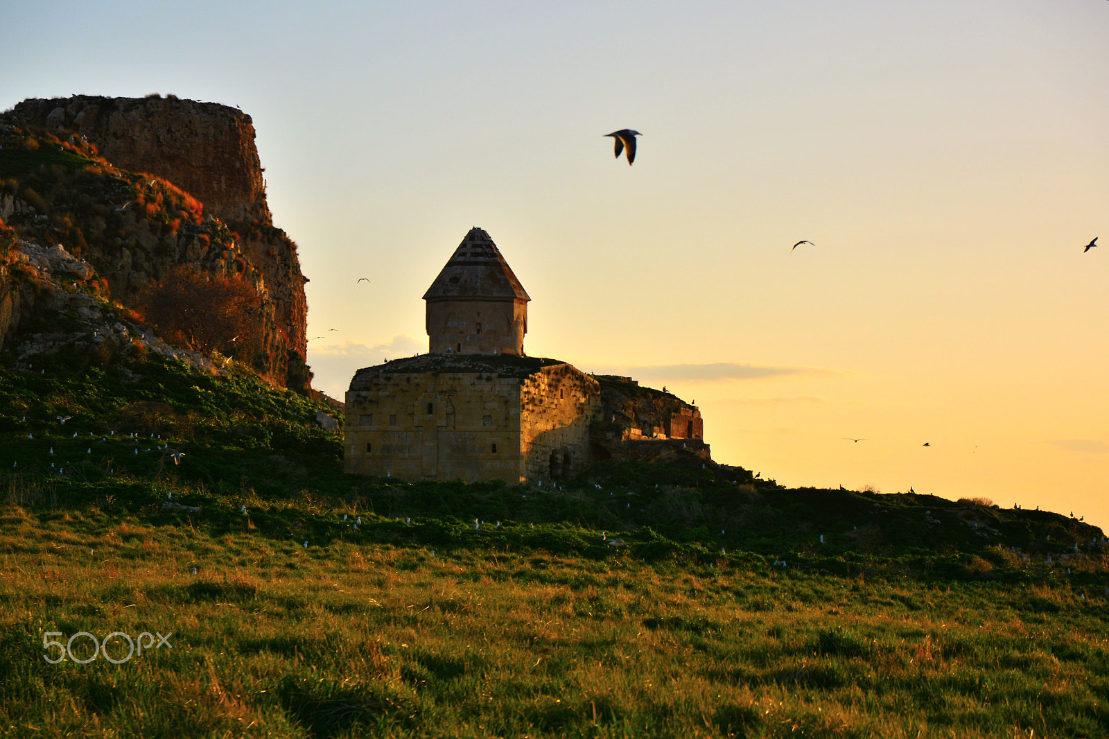 Nikon D7100 + Sigma 17-70mm F2.8-4 DC Macro OS HSM | C sample photo. Manestary and seaguls photography