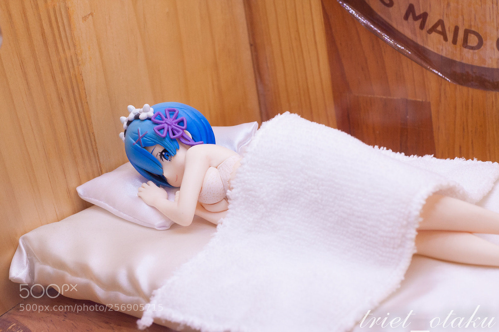 Canon EOS 40D sample photo. Img photography
