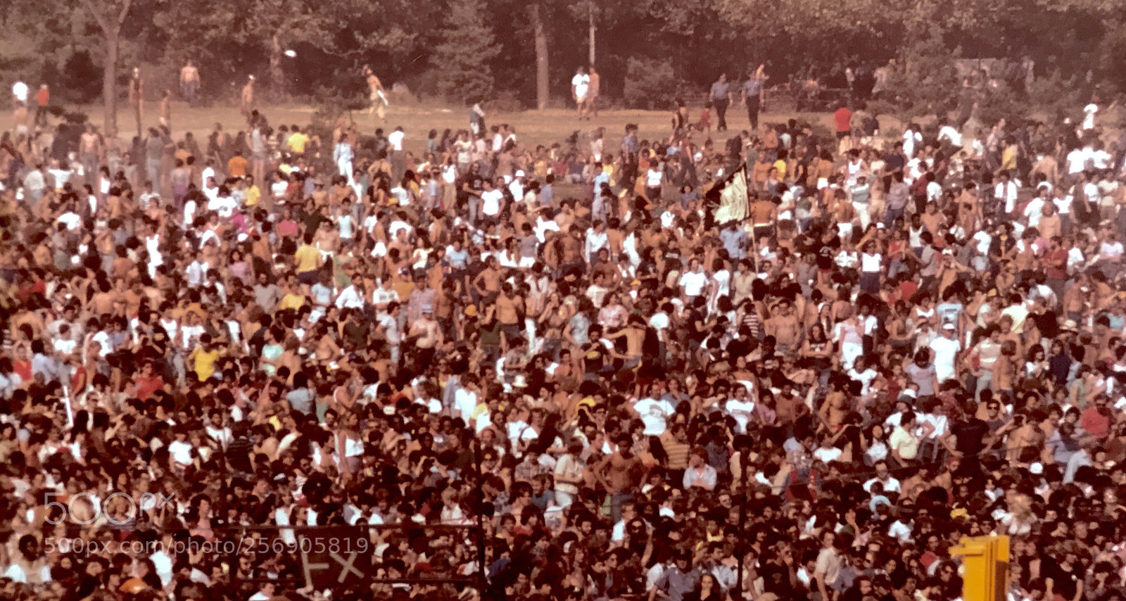 Apple iPhone 7 Plus sample photo. Summer concert fans elton photography