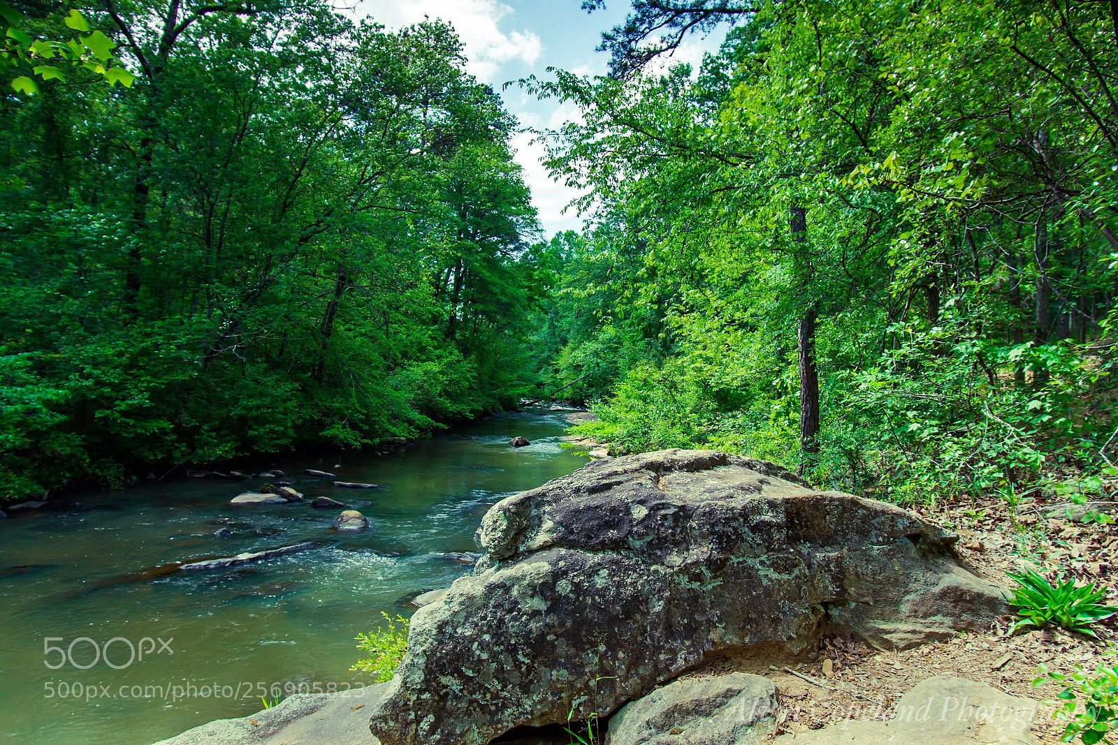 Nikon D7200 sample photo. Creek side photography