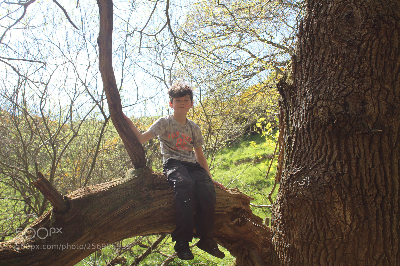 Canon EOS 700D (EOS Rebel T5i / EOS Kiss X7i) sample photo. Day in the woods photography