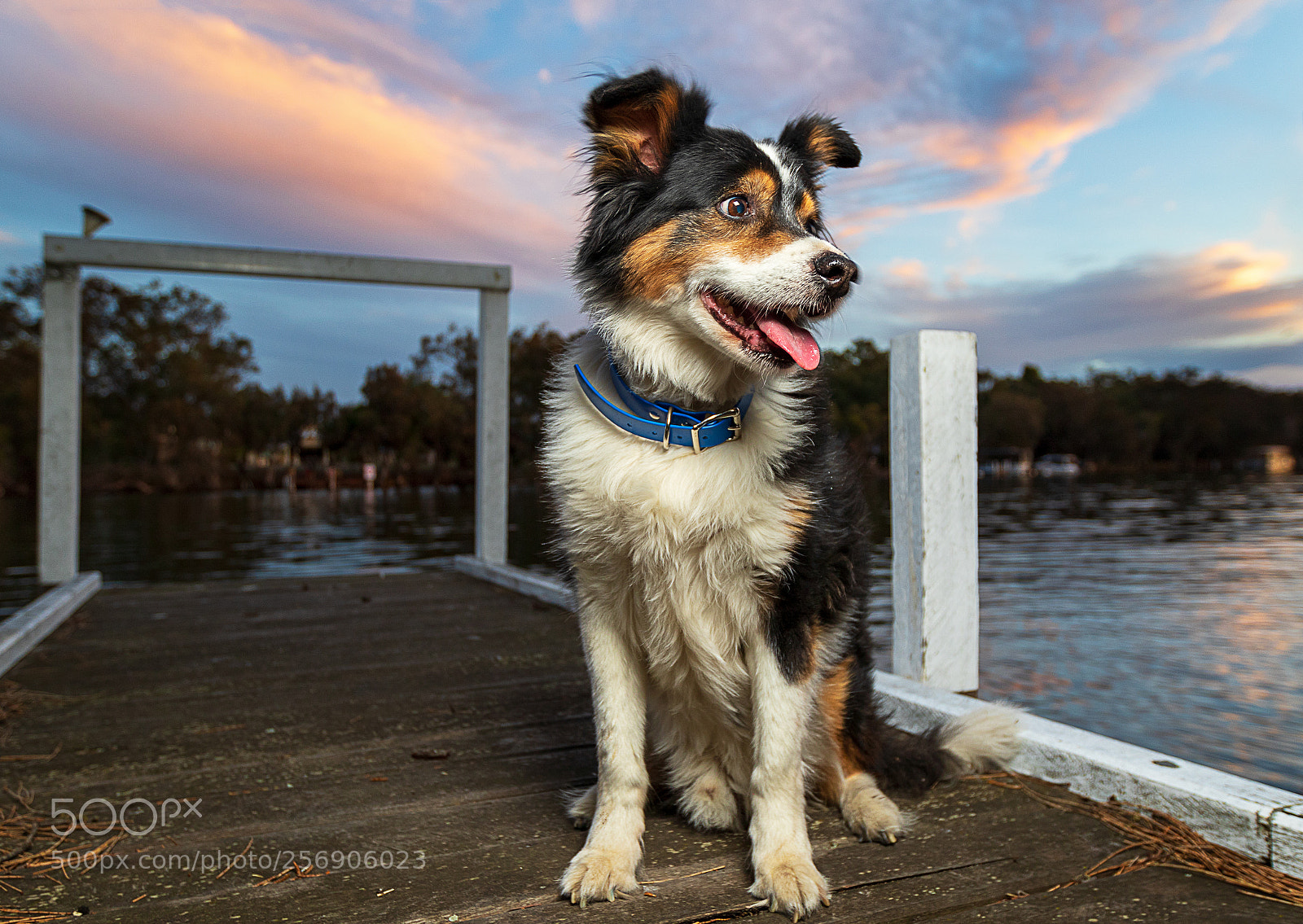 Canon EOS 7D Mark II sample photo. Jesse photography