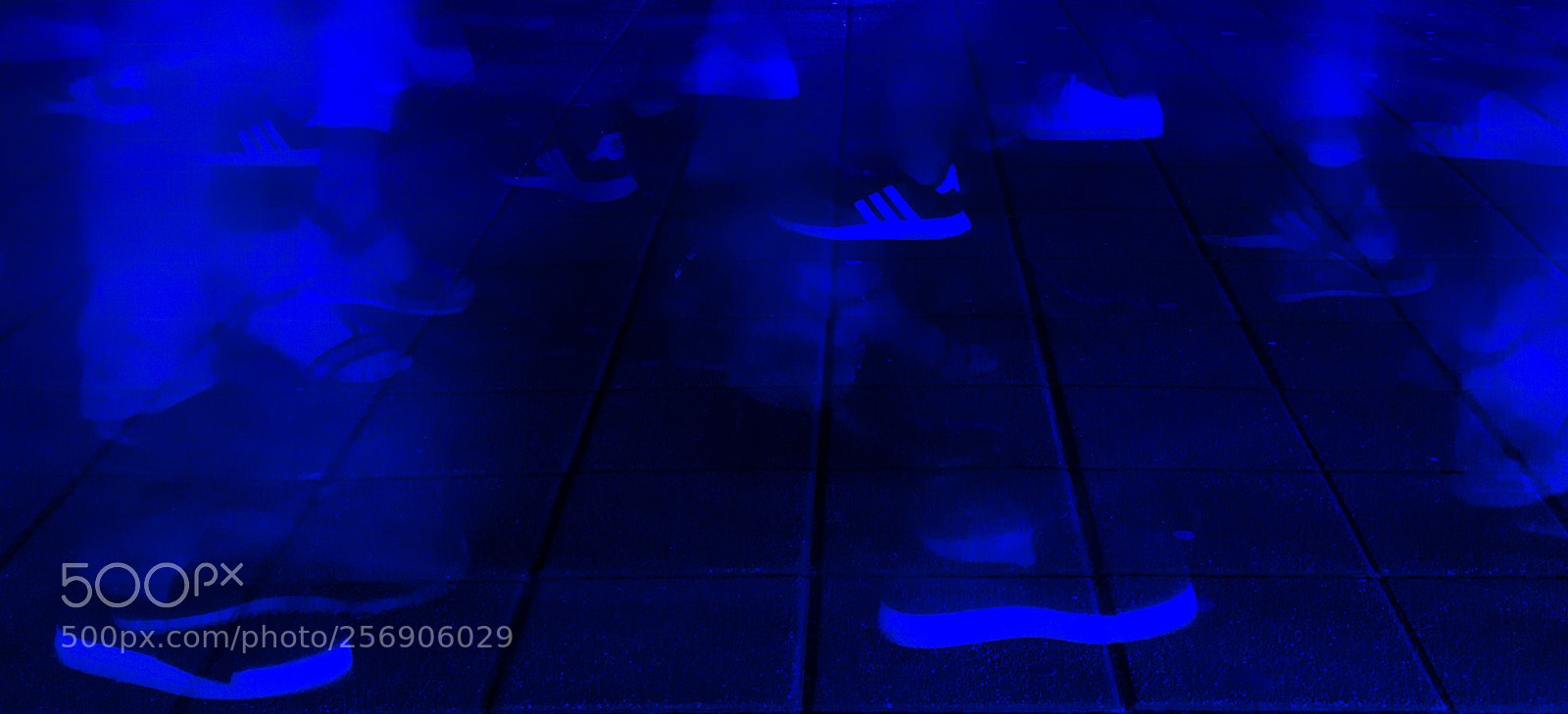 Nikon D3100 sample photo. Forward/backward photography