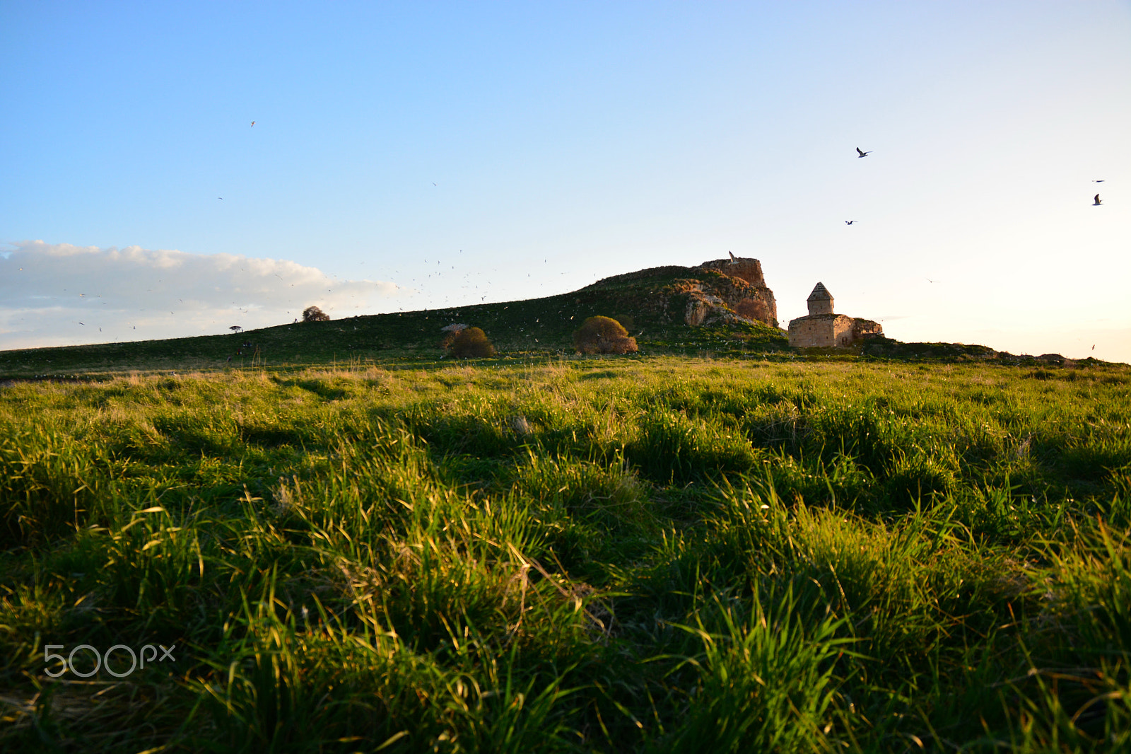 Nikon D7100 + Sigma 17-70mm F2.8-4 DC Macro OS HSM | C sample photo. çarpanak island photography