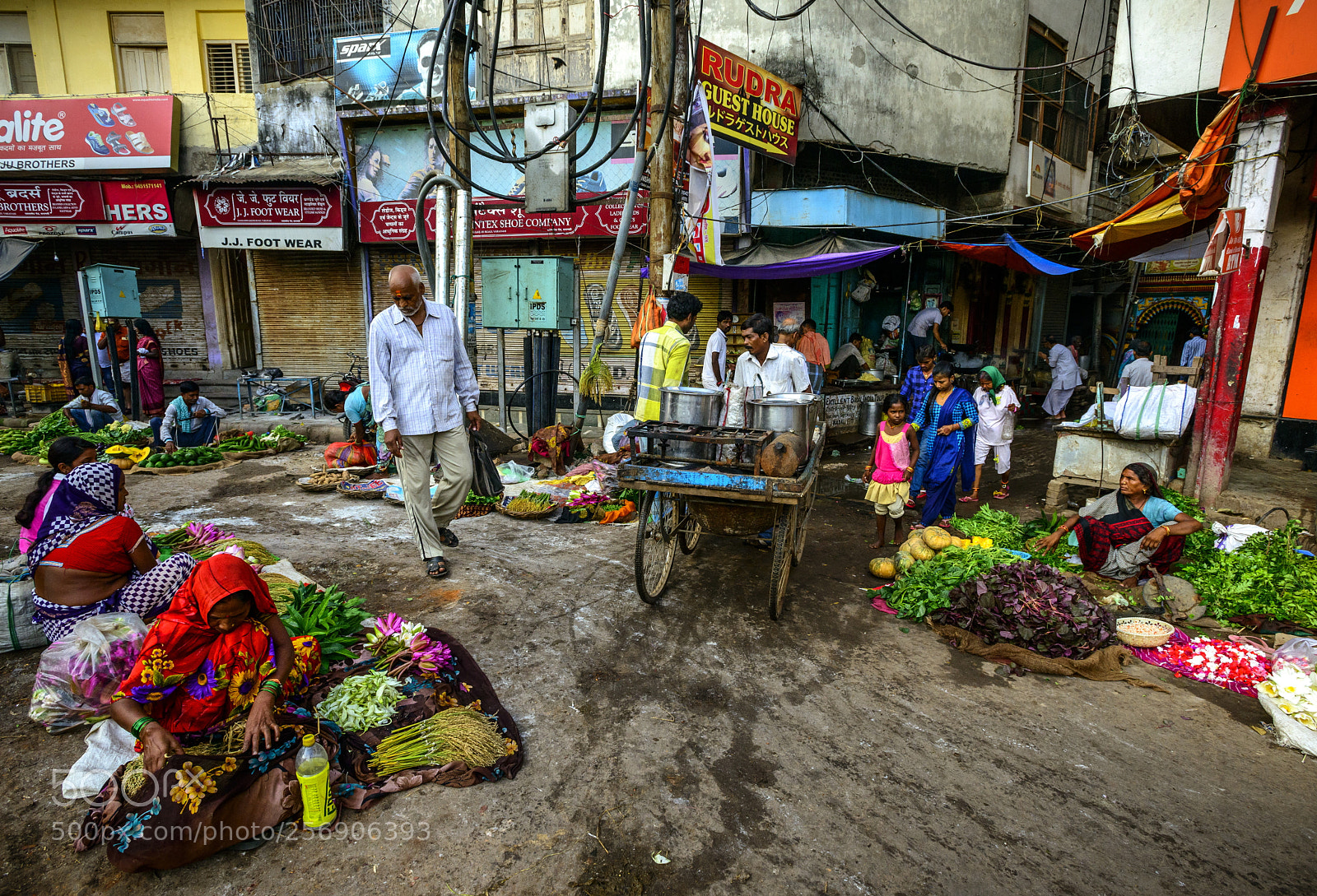 Nikon D800E sample photo. Fullres photography