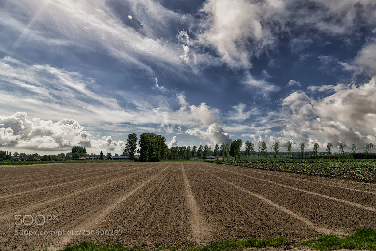 Sony a7R II sample photo. Zuid beijerland netherlands photography