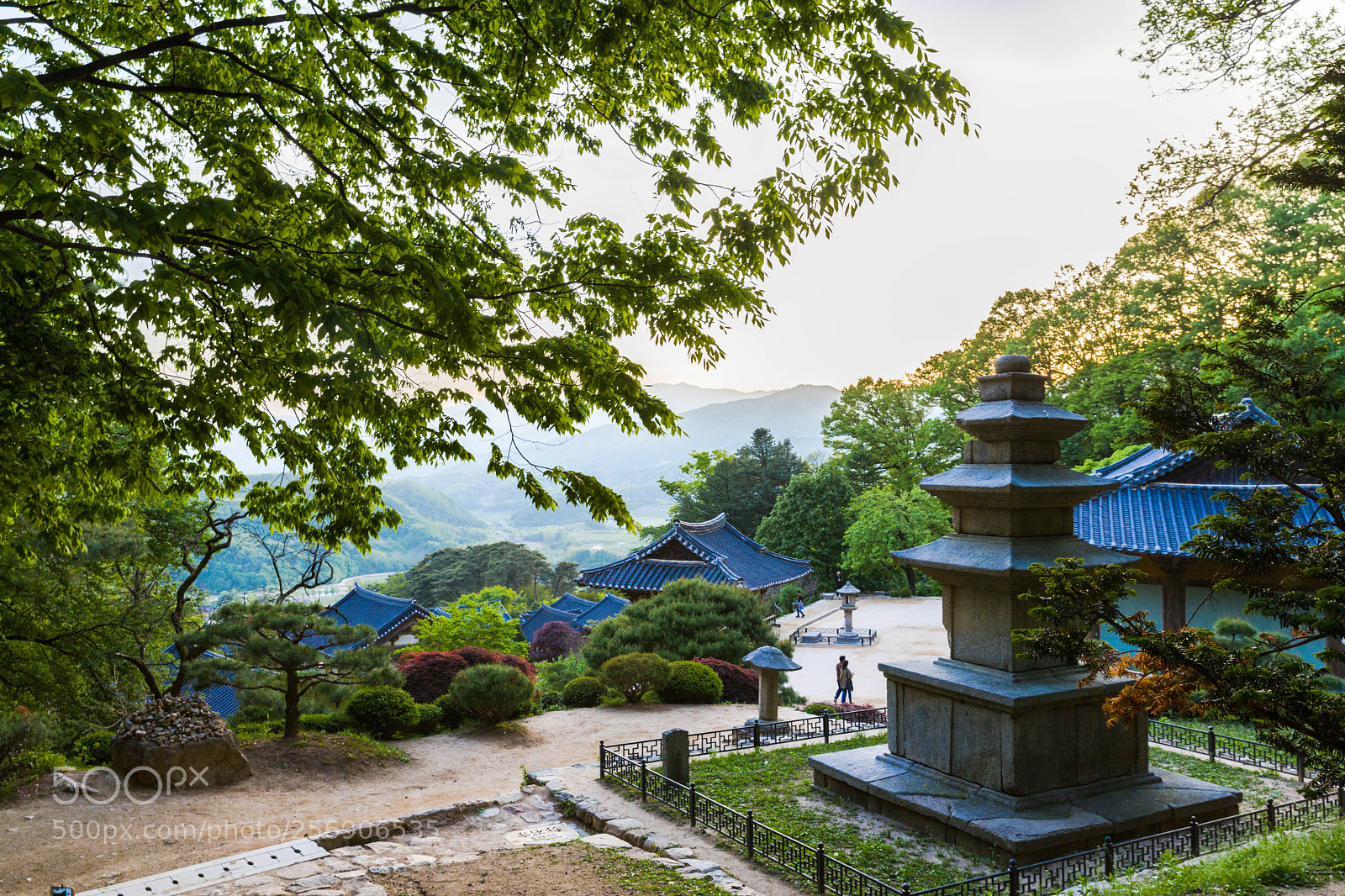 Canon EOS 6D Mark II sample photo. 영주 photography