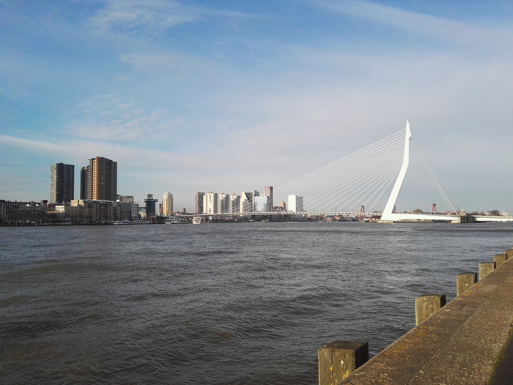 HUAWEI P8 sample photo. Erasmus bridge, rotterdam seen from kop van zuid photography