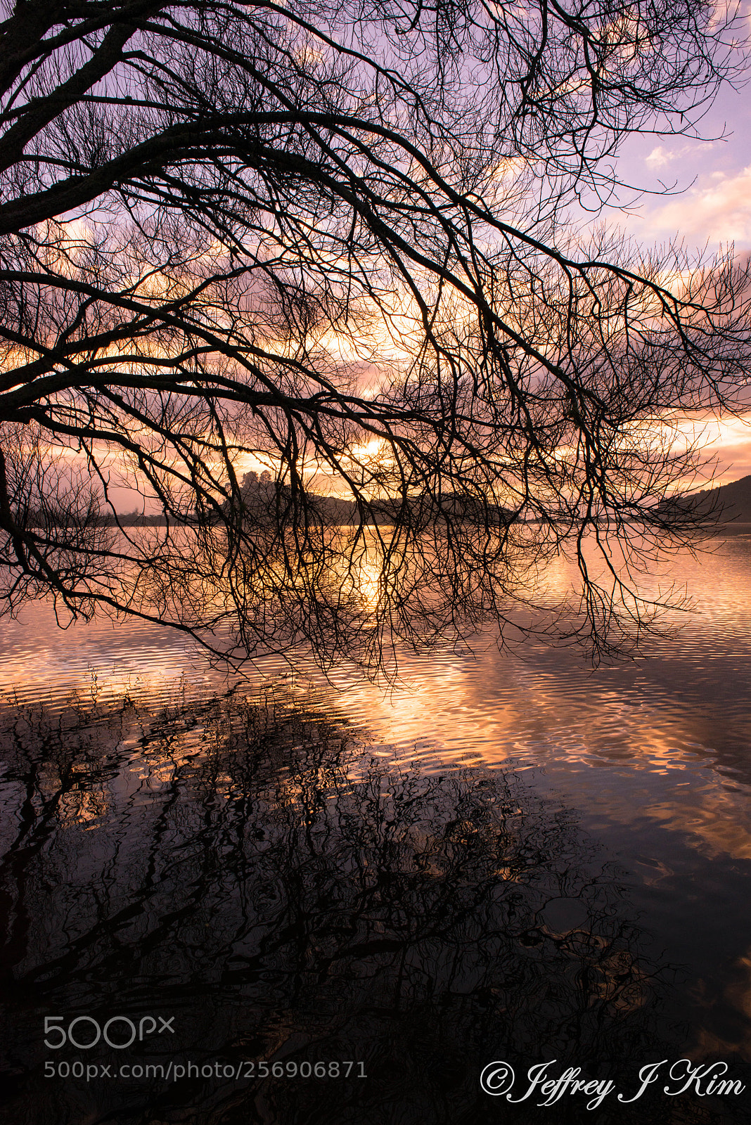 Nikon D800E sample photo. Peaceful morning photography