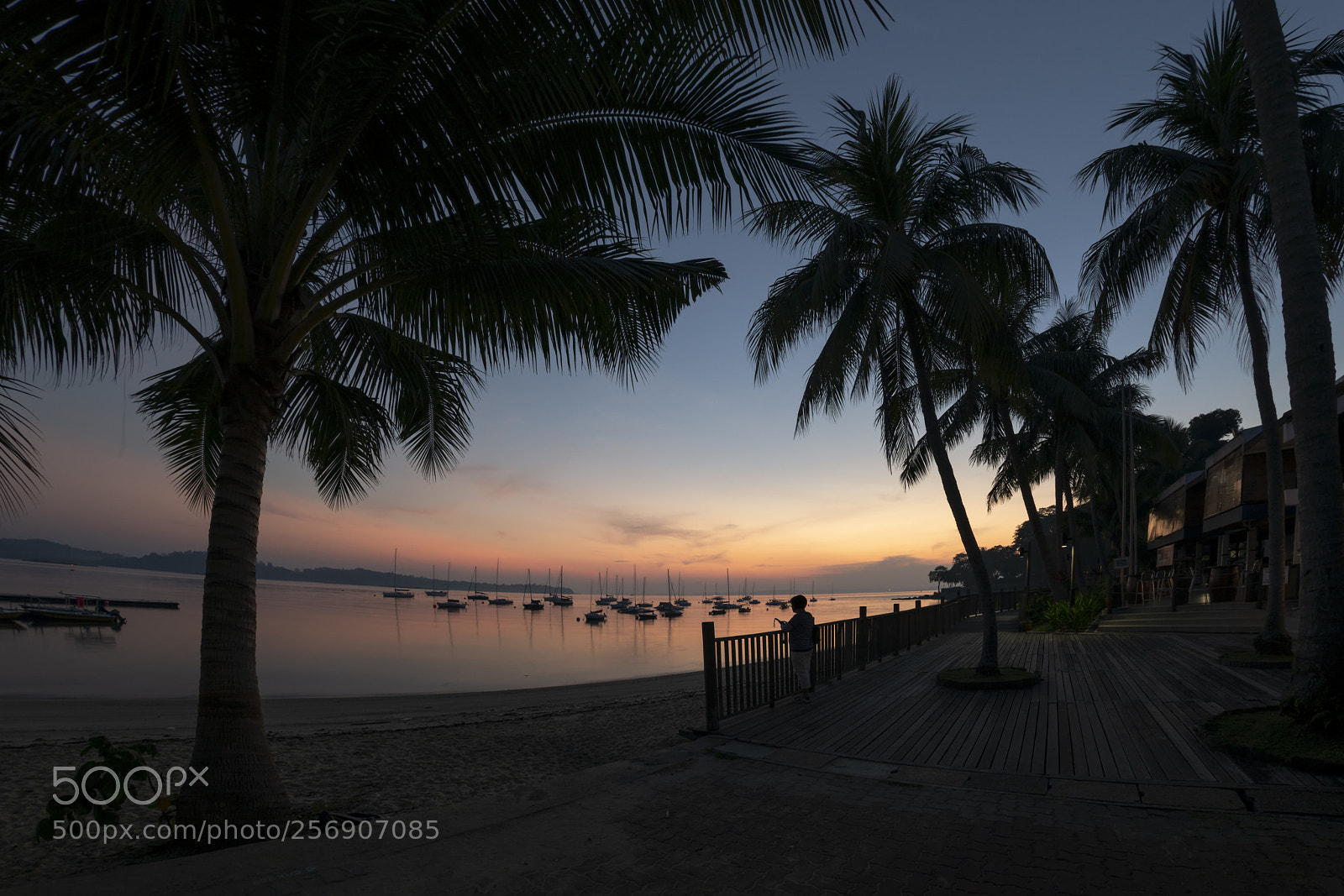 Nikon D850 sample photo. Sunrise photography