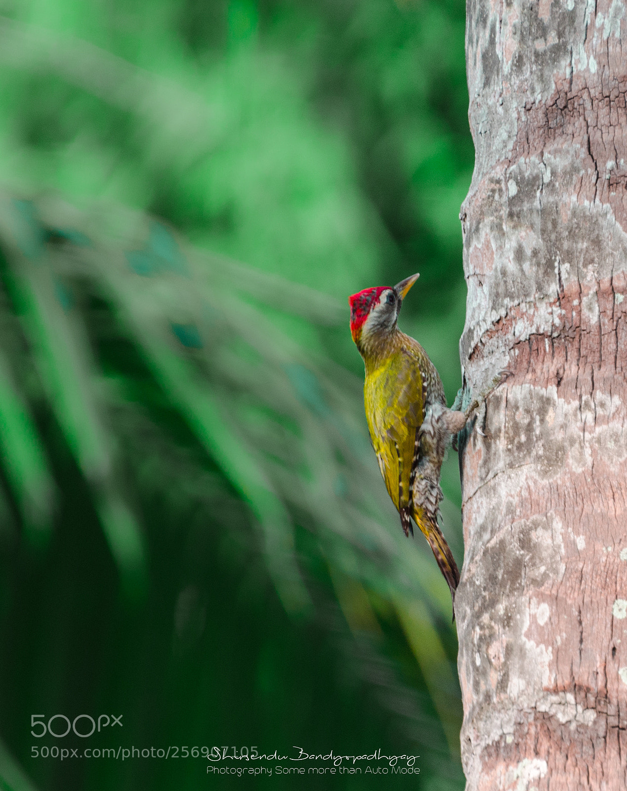 Nikon D5100 sample photo. At work photography