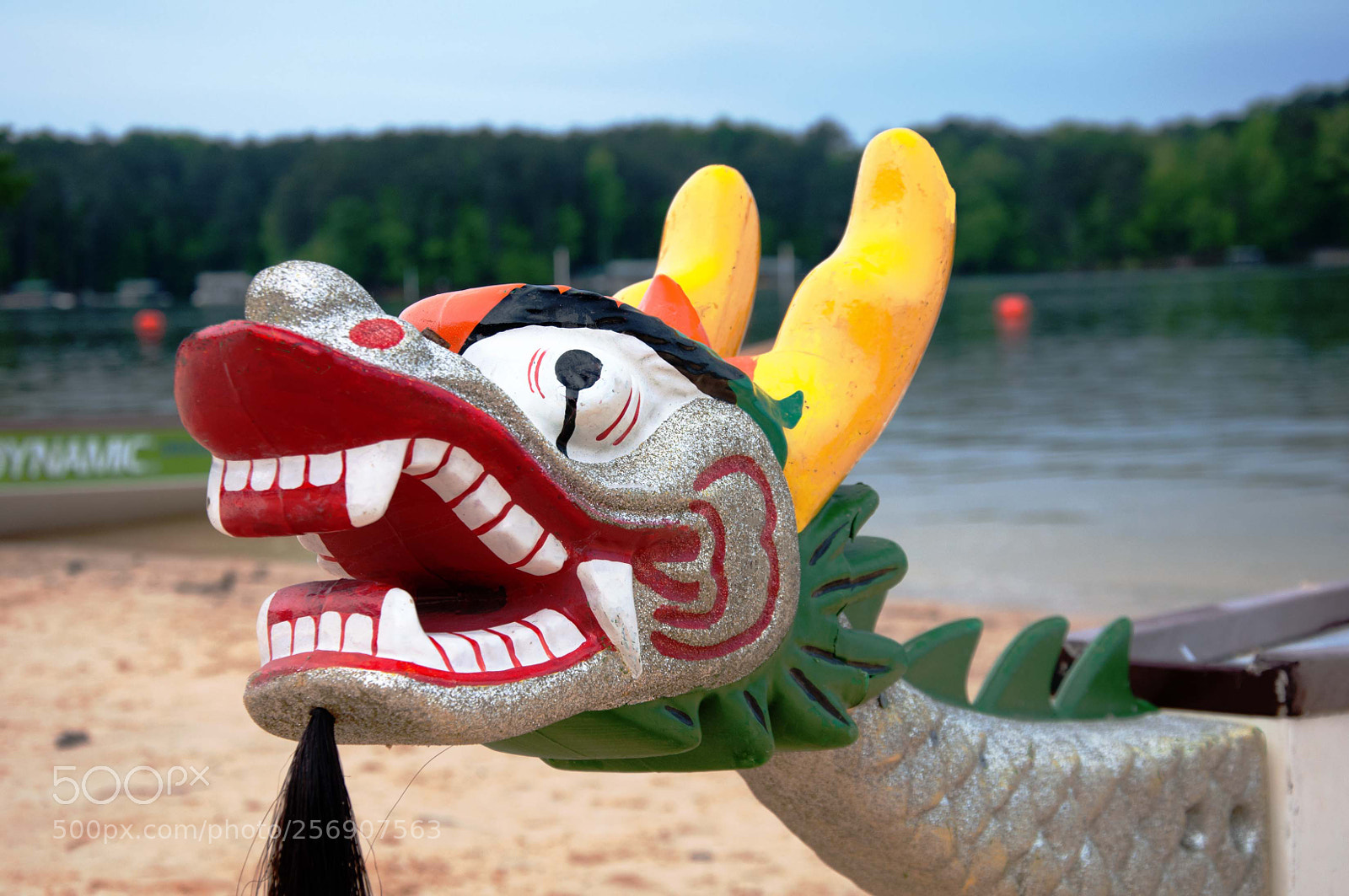 Nikon D90 sample photo. Dragon boat head photography