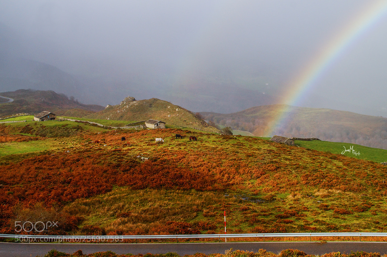 Sony SLT-A58 sample photo. Portillo de la s photography