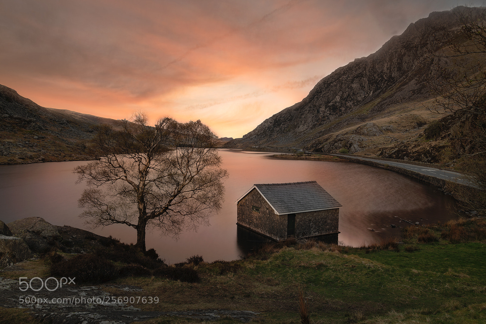 Nikon D850 sample photo. Golden boat house photography