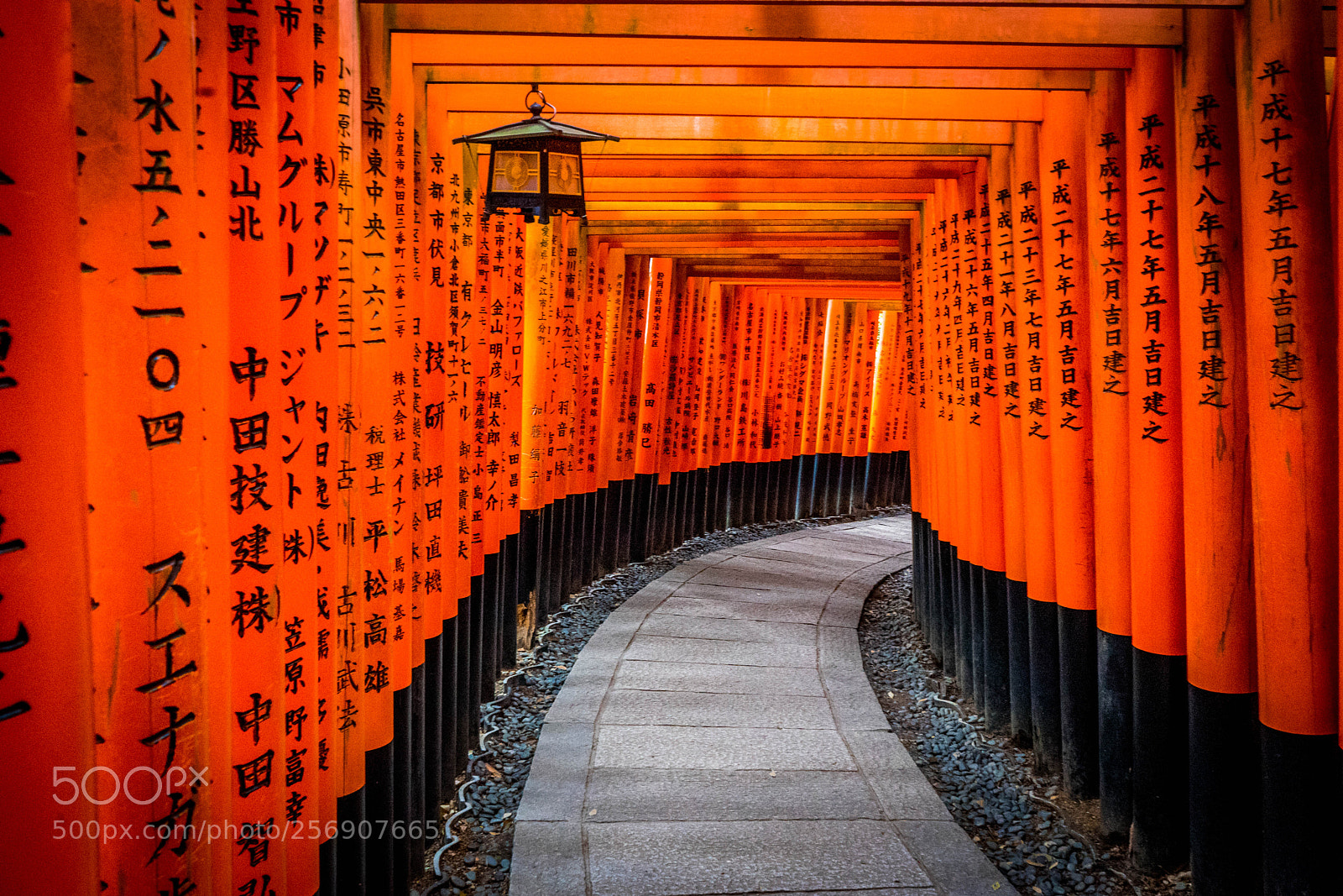 Sony a7 sample photo. Fushimi inari-taisha shrine photography
