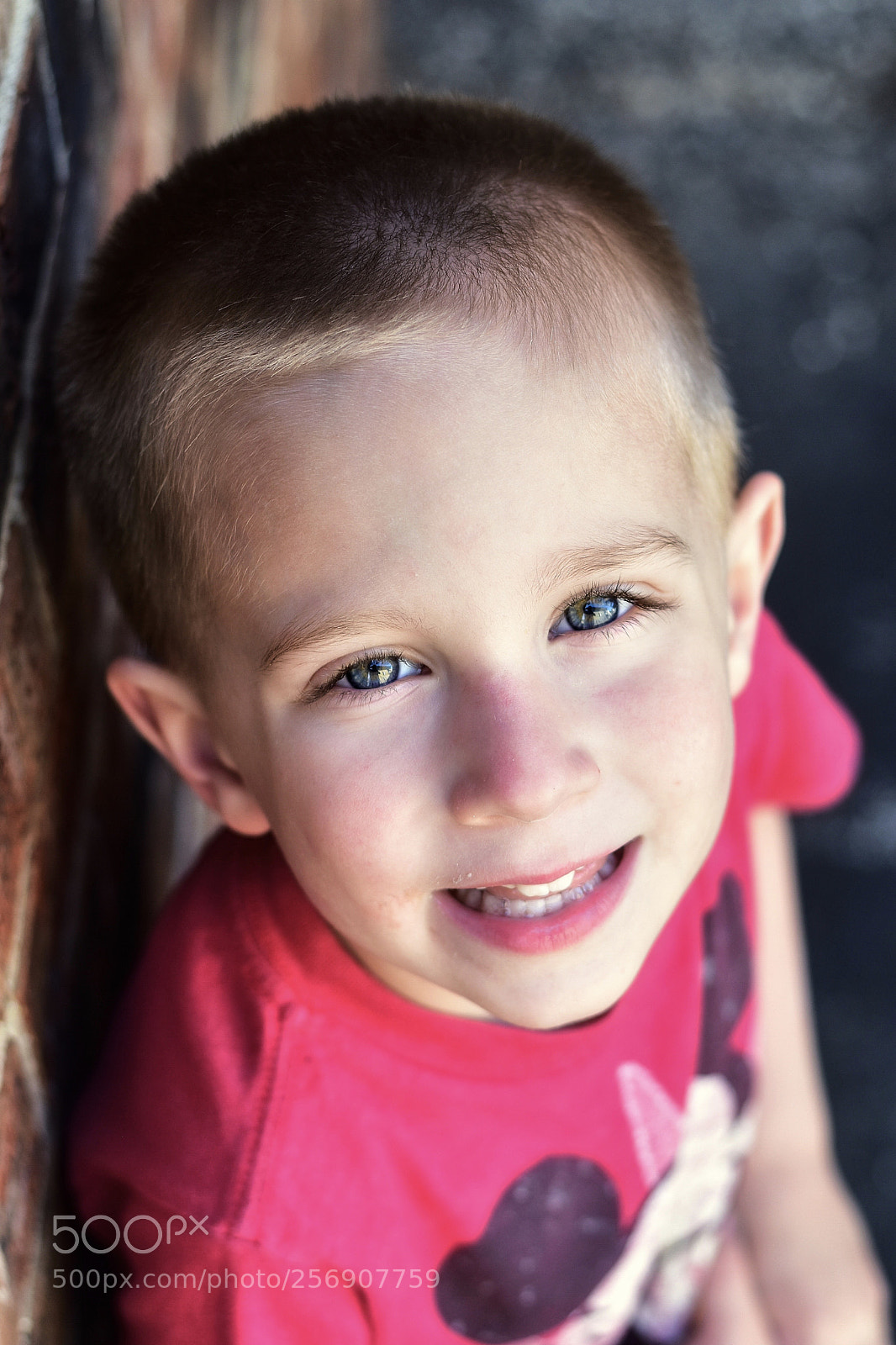 Nikon D5600 sample photo. Untitled photography