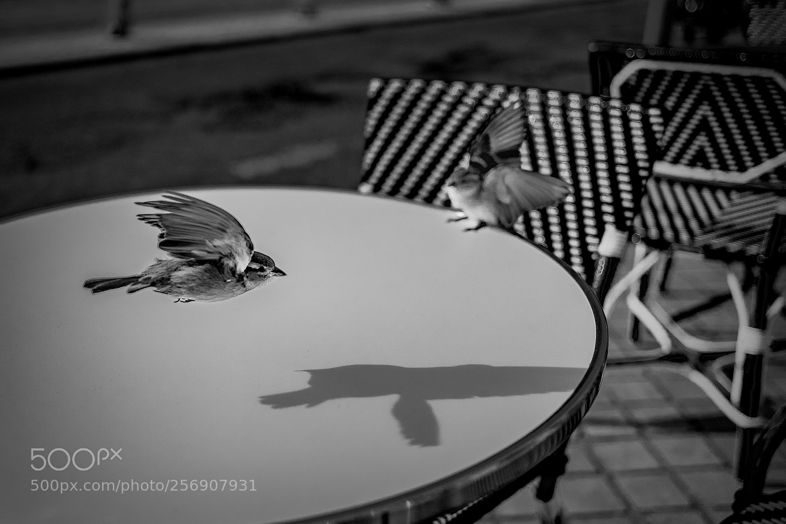 Leica SL (Typ 601) sample photo. L photography