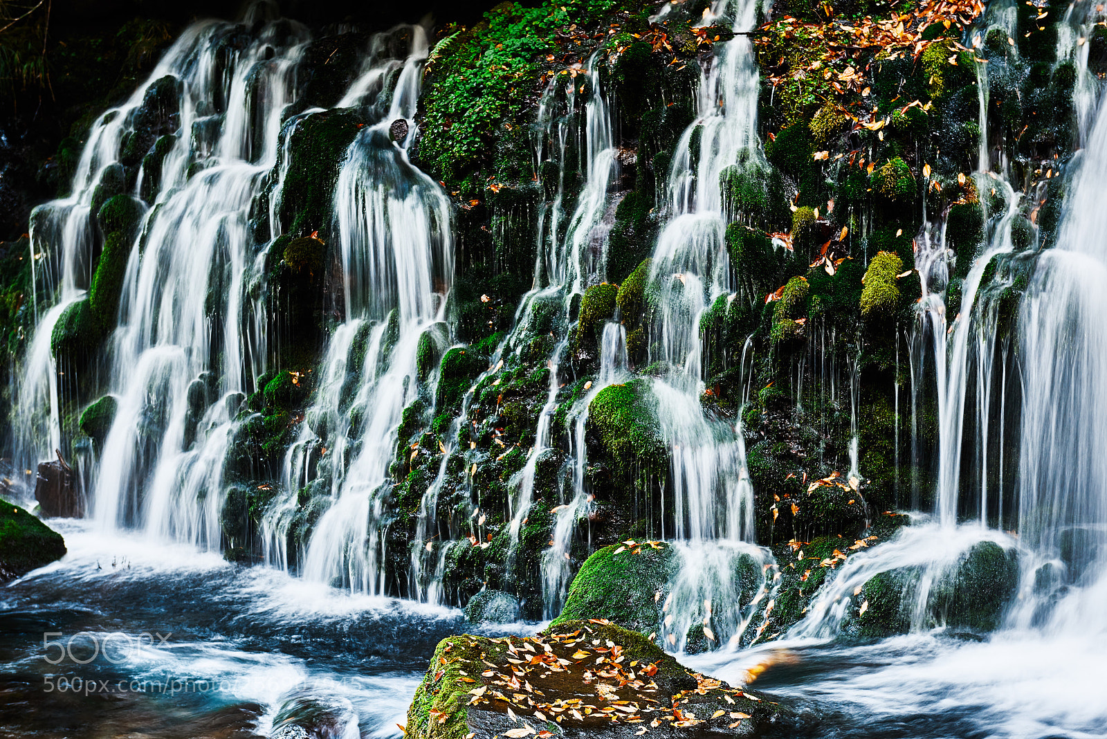 Nikon D810 sample photo. Spring water photography