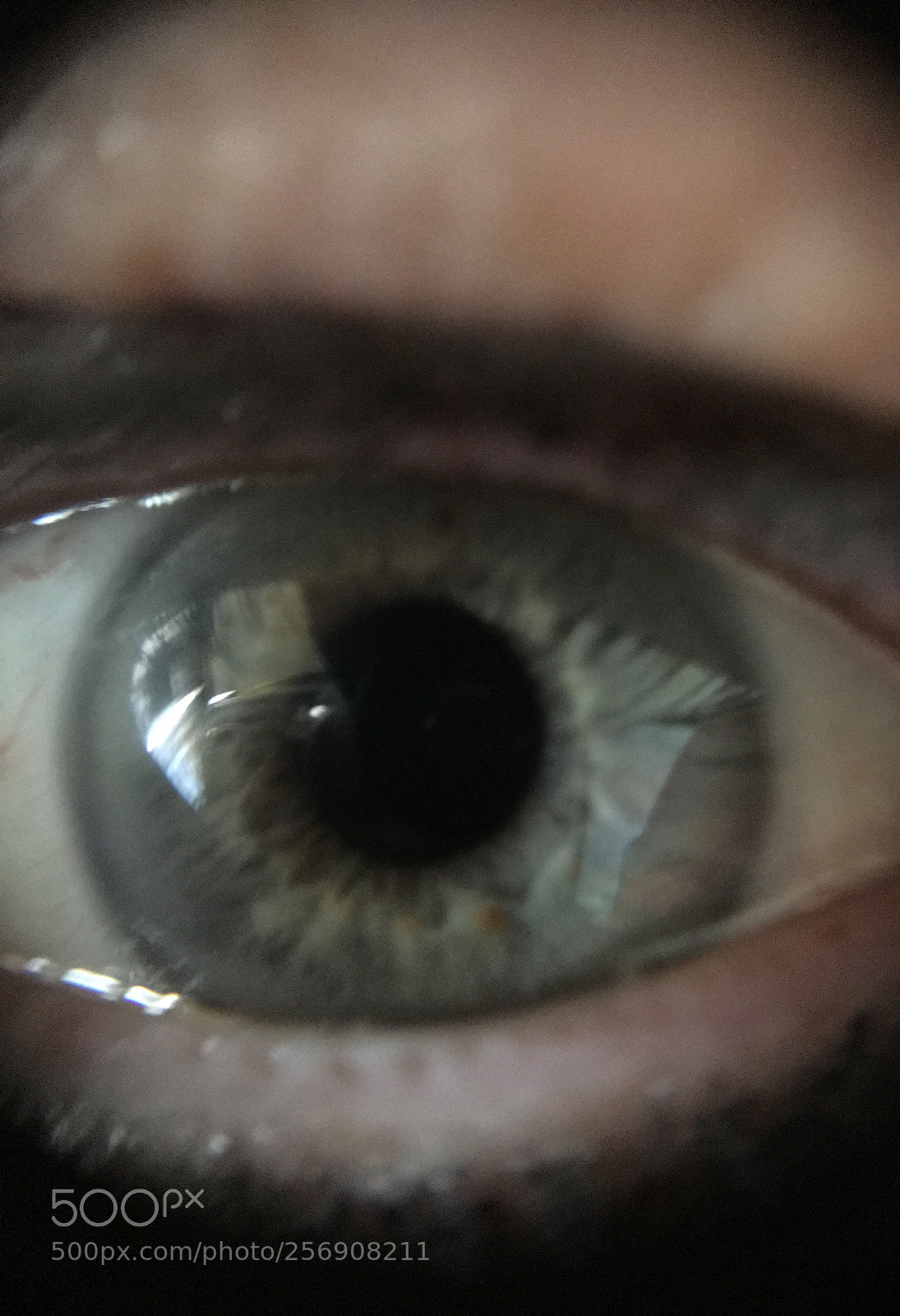 Apple iPhone 6s Plus sample photo. What do you see? photography