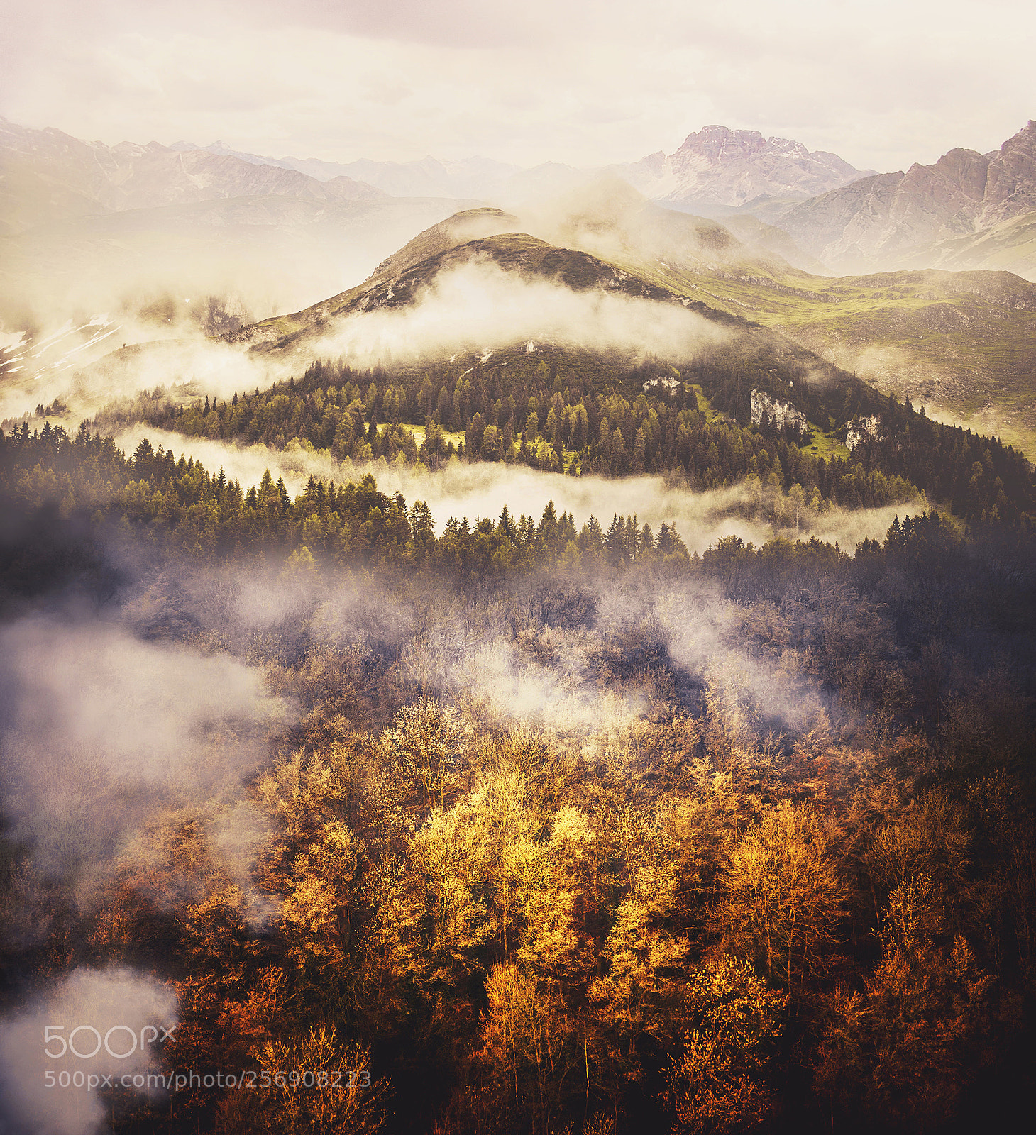 Nikon D700 sample photo. Photo collage wilderness landscape photography
