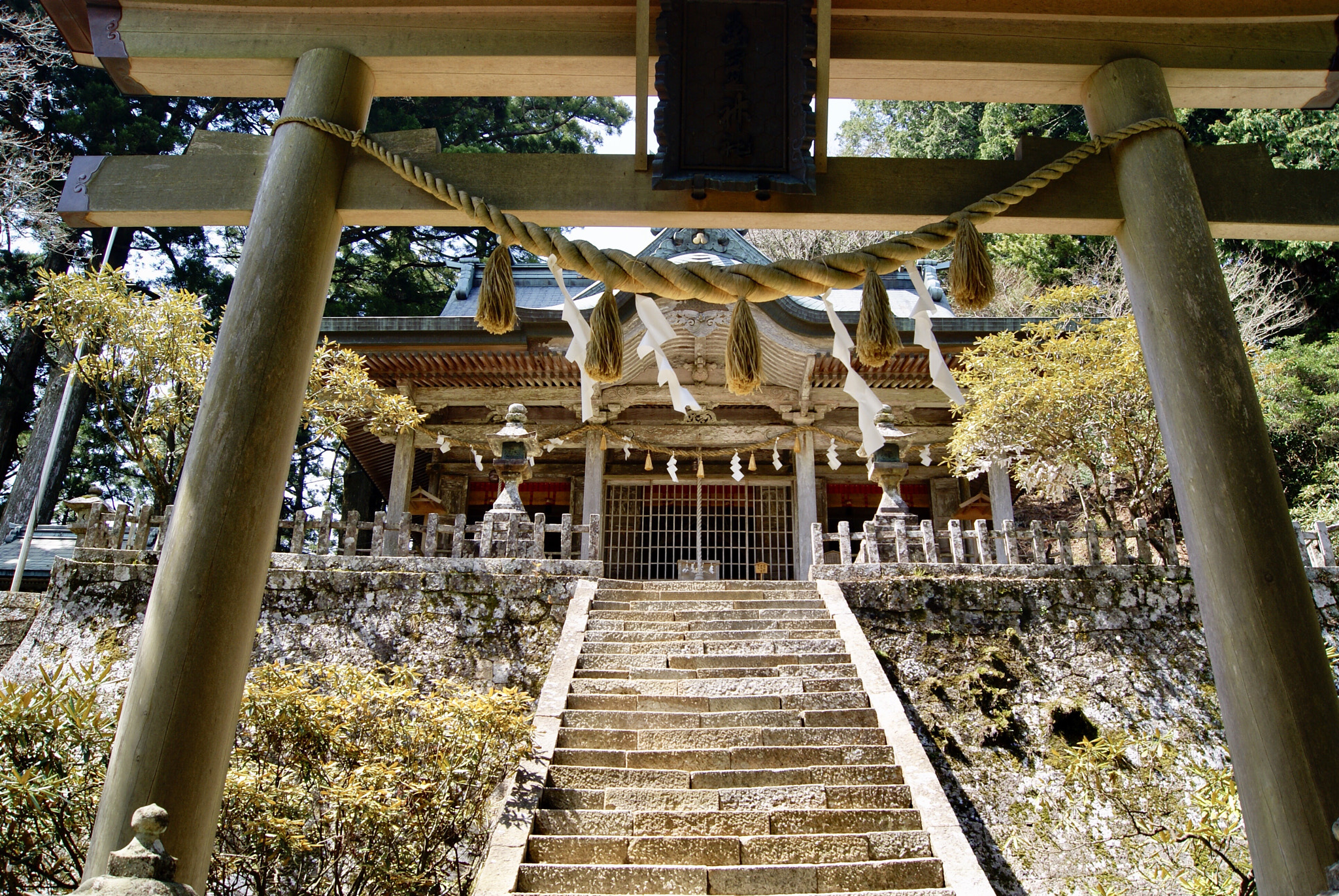 Sony Alpha DSLR-A330 sample photo. Tamaki jinja photography