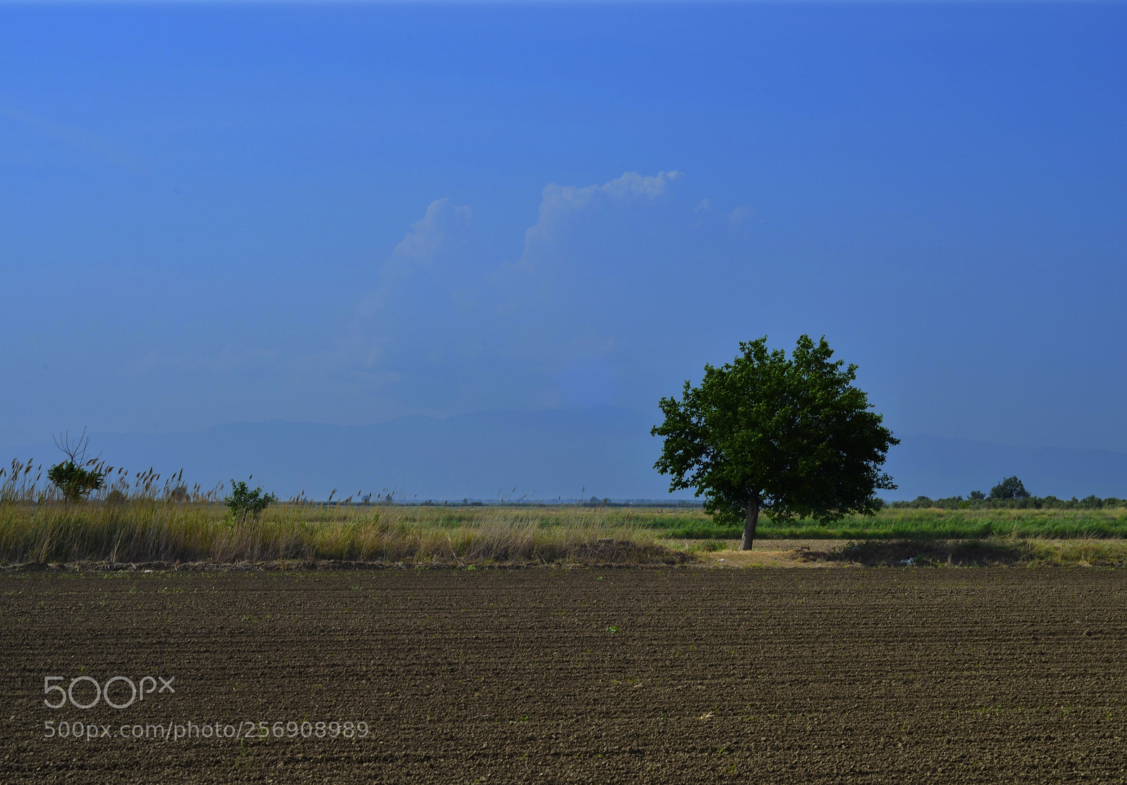 Nikon D5100 sample photo. ... photography