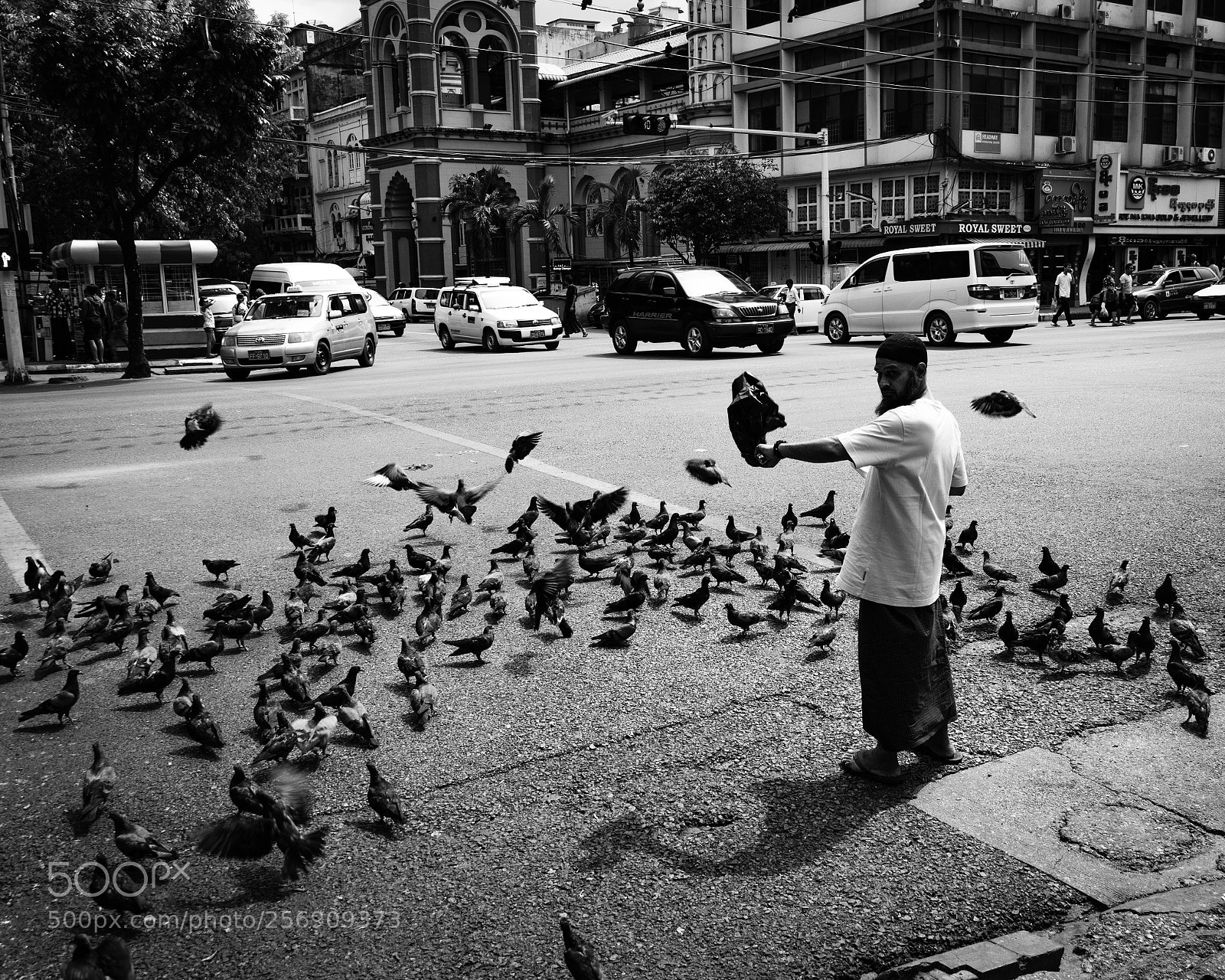 Canon EOS 200D (EOS Rebel SL2 / EOS Kiss X9) sample photo. Pigeon feeding time photography