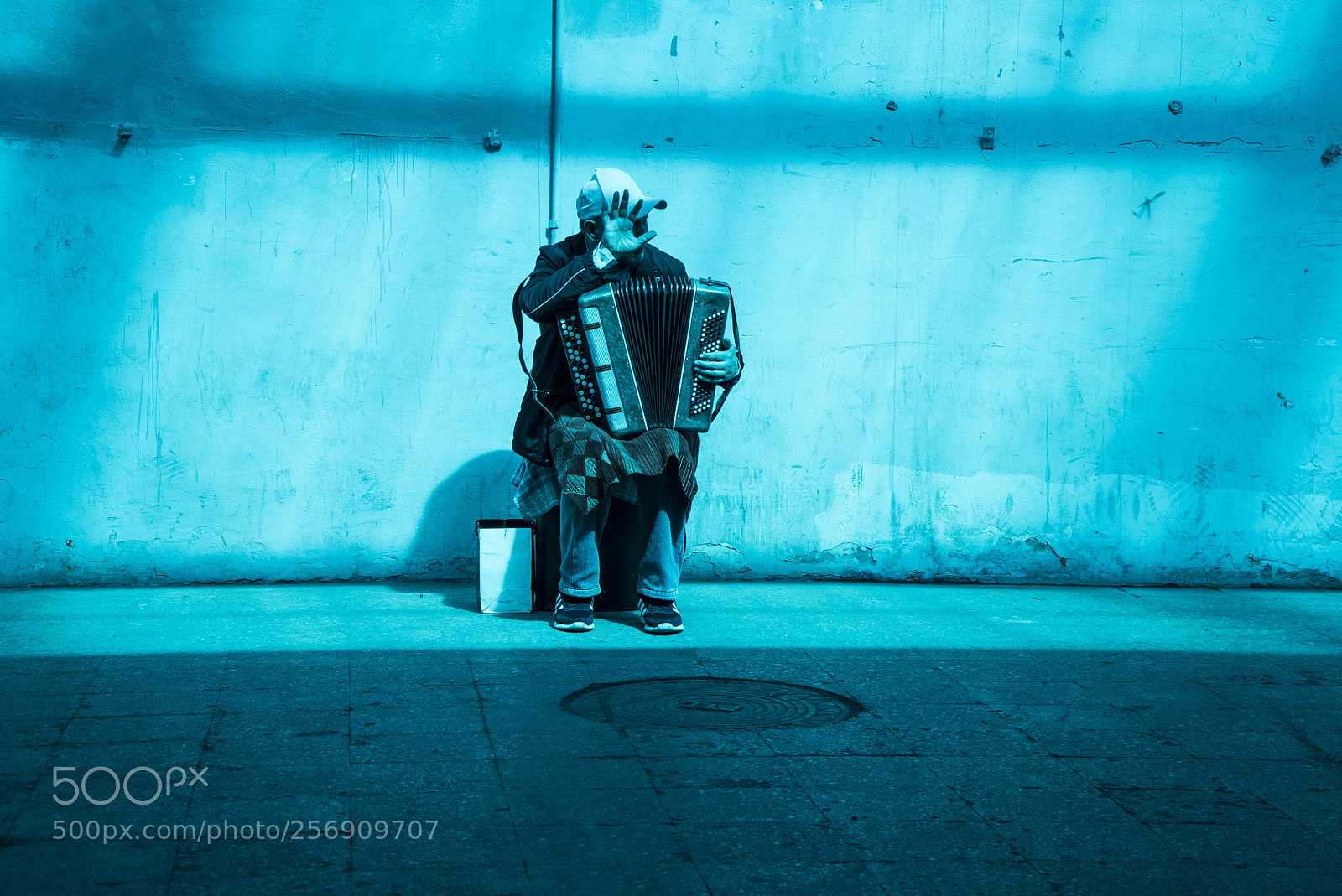 Sony a7S sample photo. In blue photography