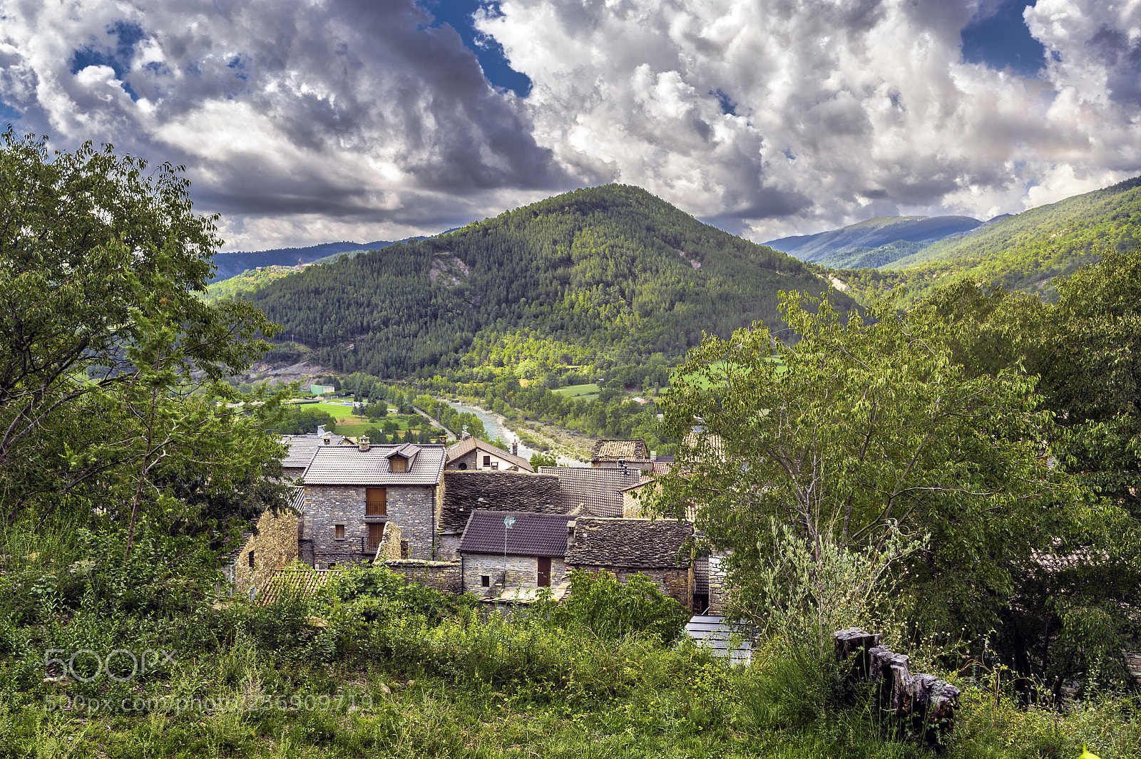 Nikon Df sample photo. Live in nature photography