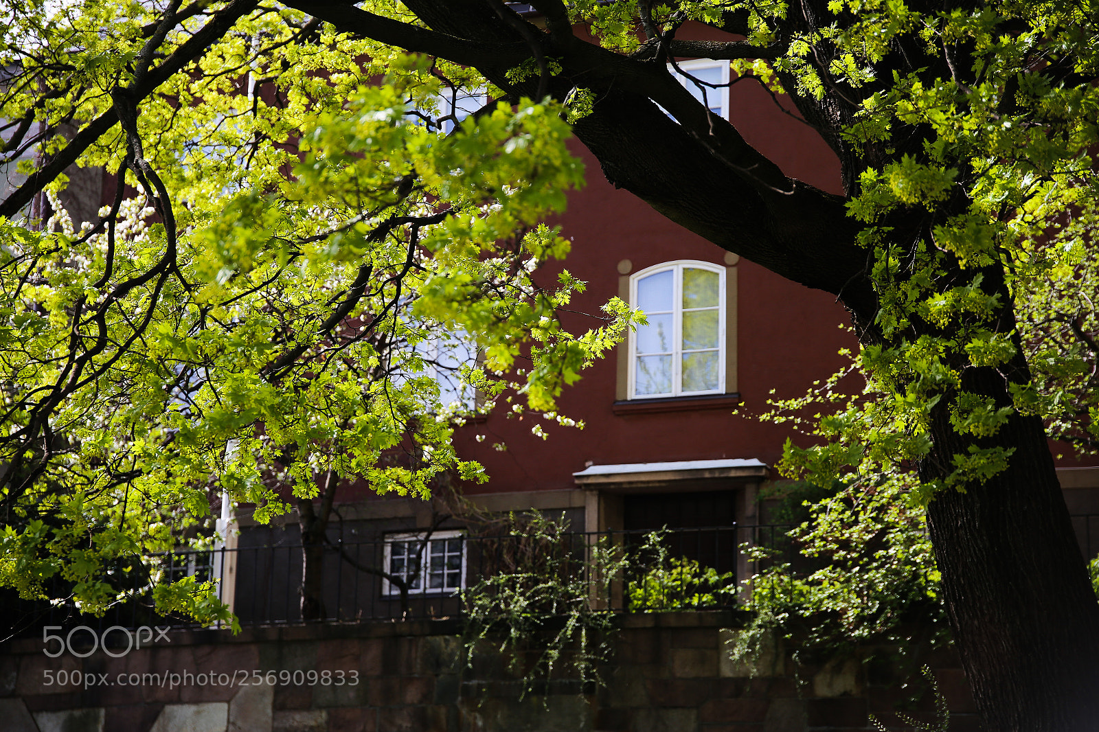 Canon EOS 6D sample photo. Almost summer photography