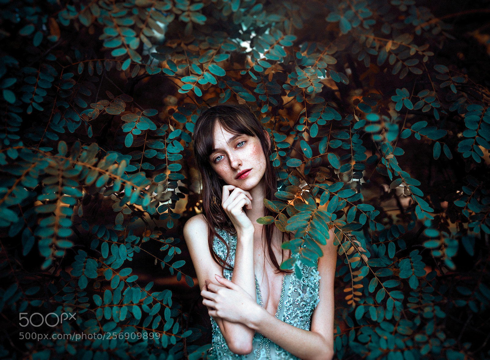 Sony a7R II sample photo. Between the green and photography