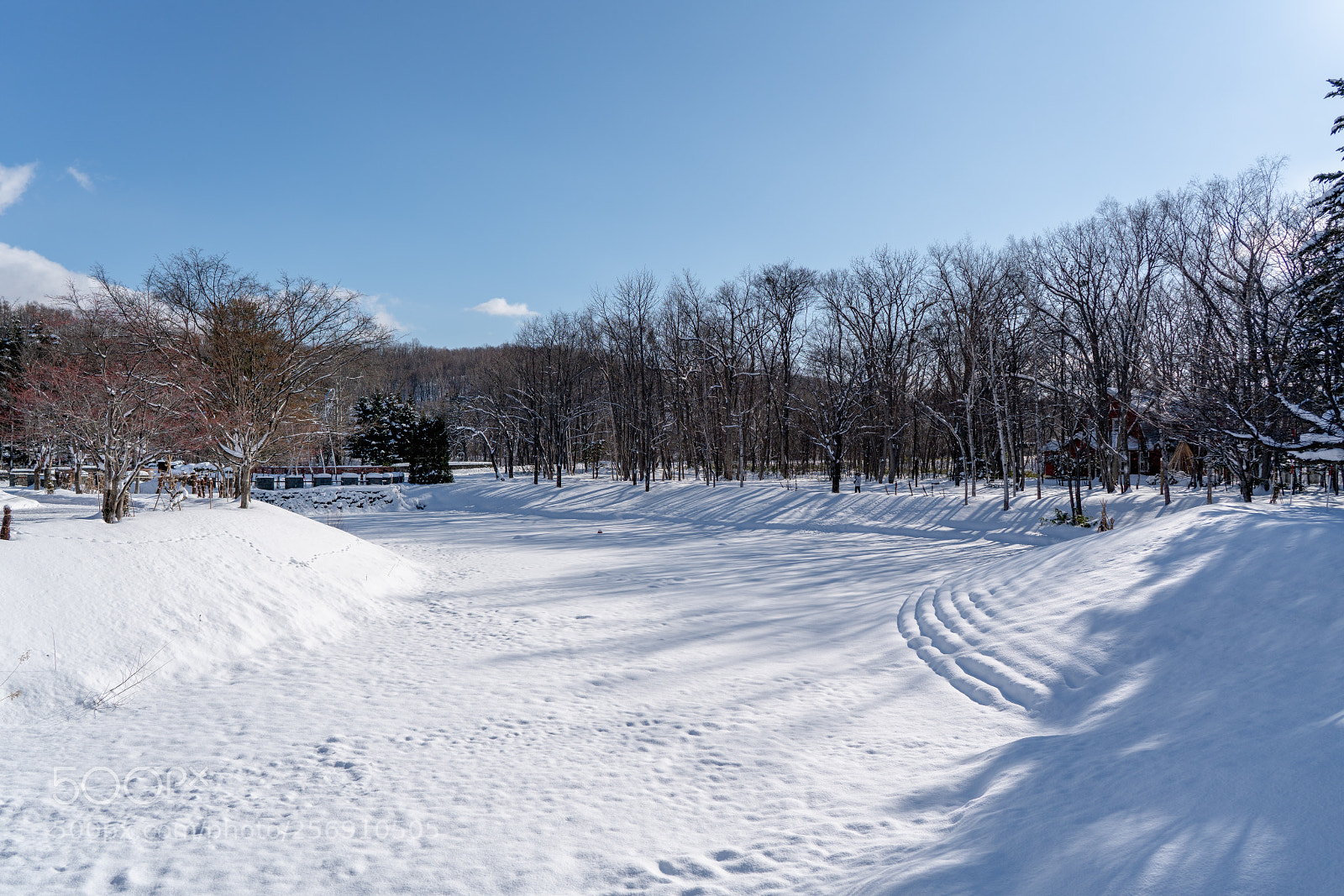 Sony a7R II sample photo. Edit photography
