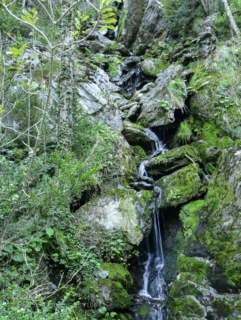 Nikon D7200 sample photo. Hilo de agua photography