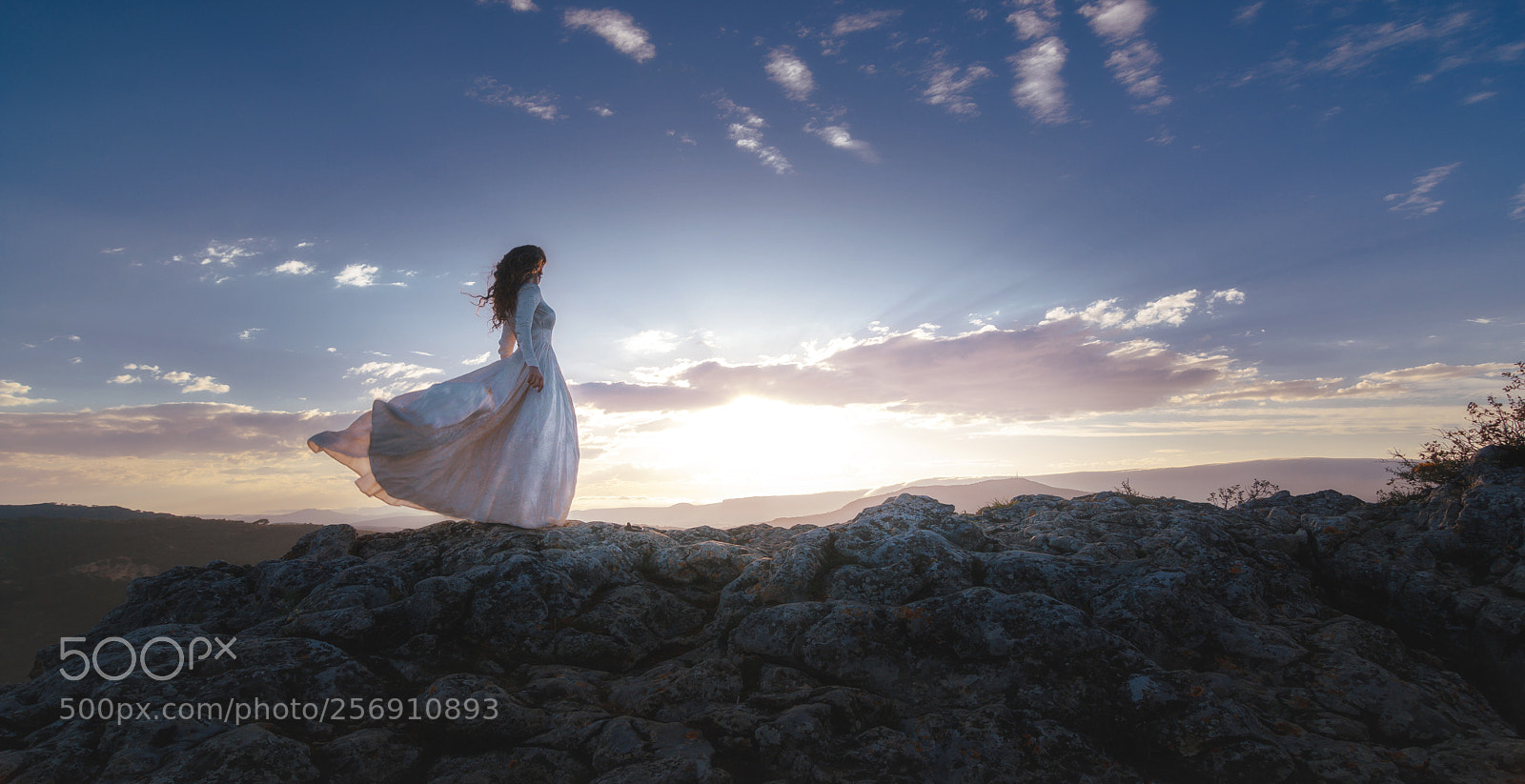 Canon EOS 7D Mark II sample photo. Light photography