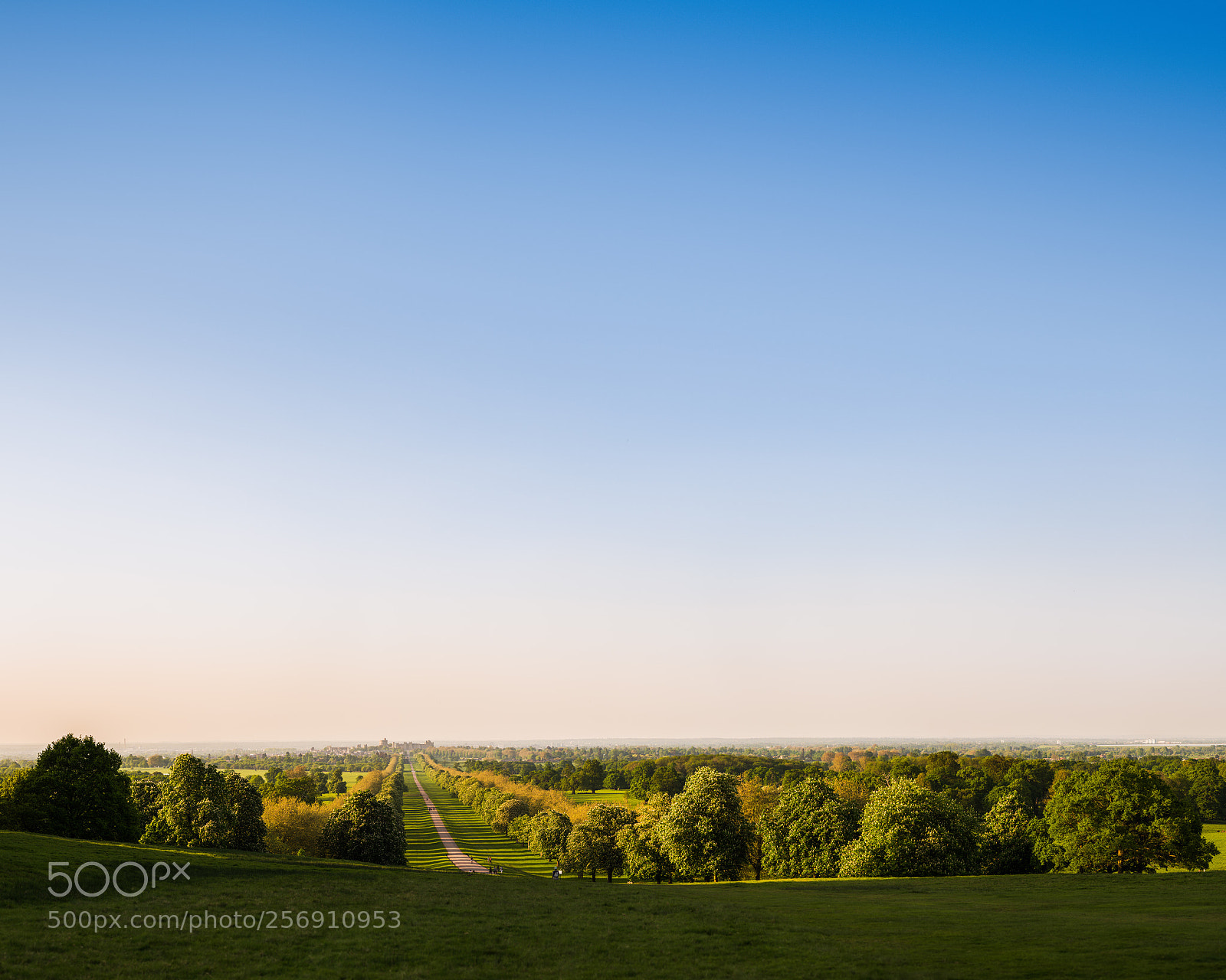 Nikon D800 sample photo. The long walk photography