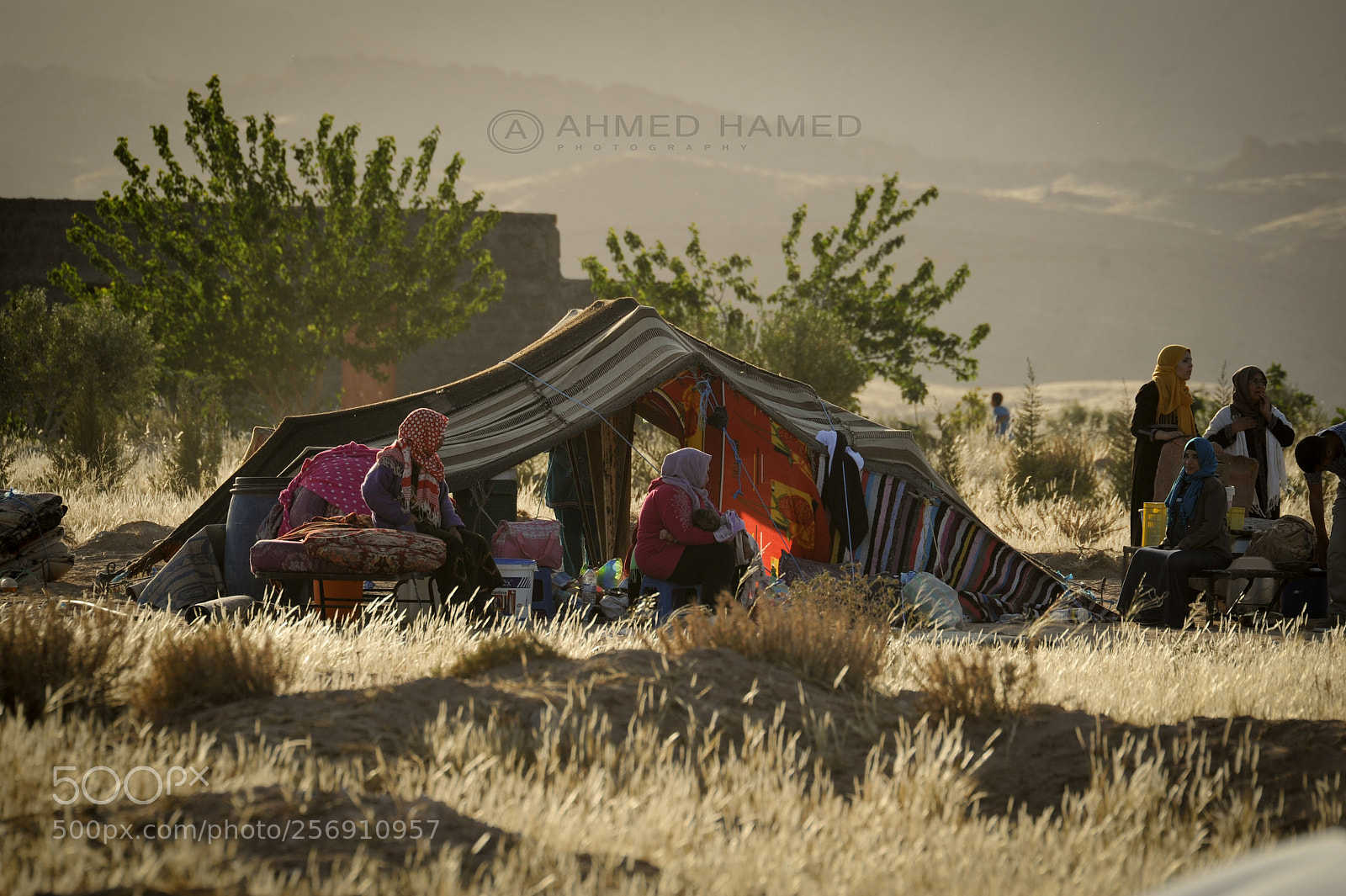 Nikon D700 sample photo. Untitled photography