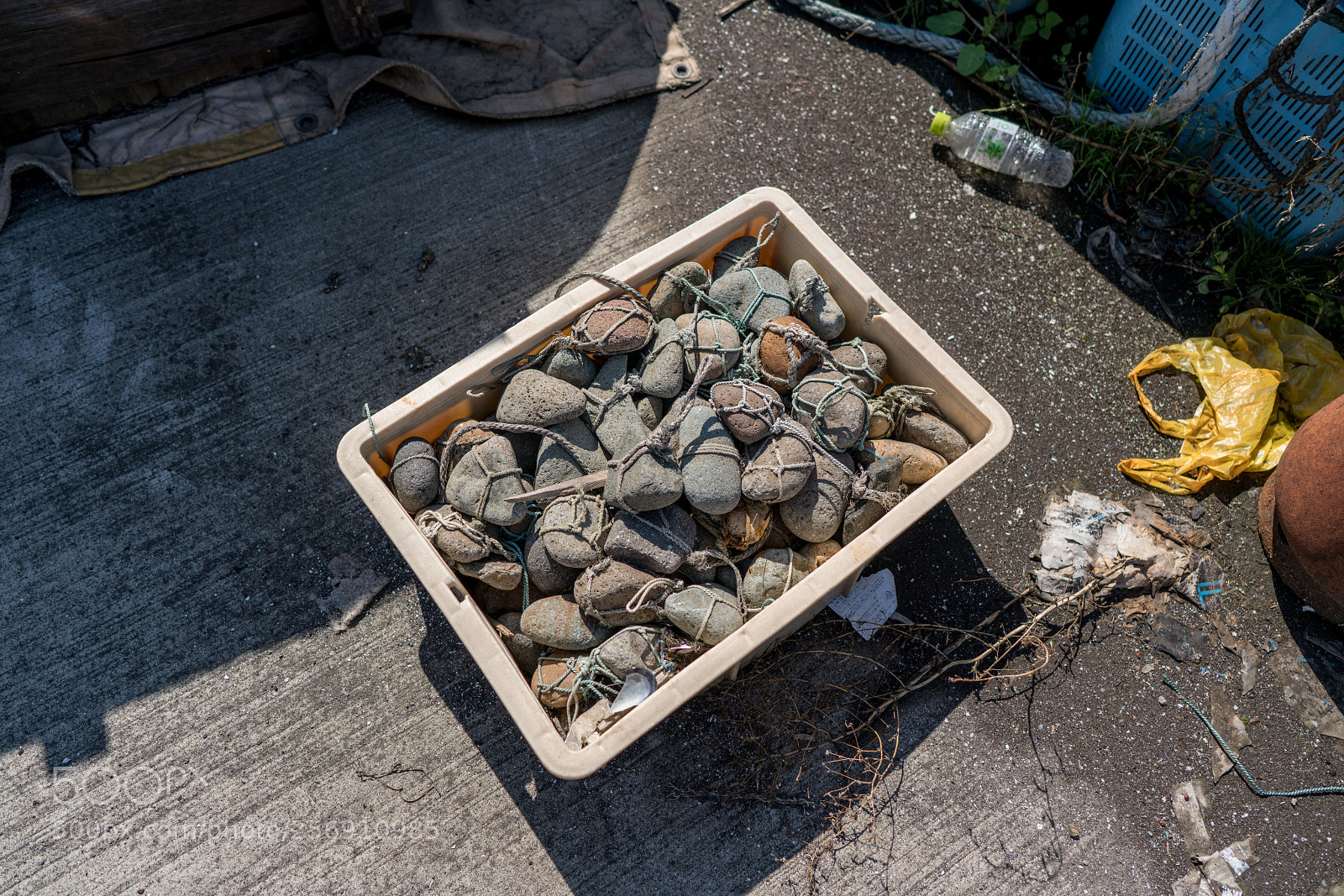 Sony a7R II sample photo. Edit photography