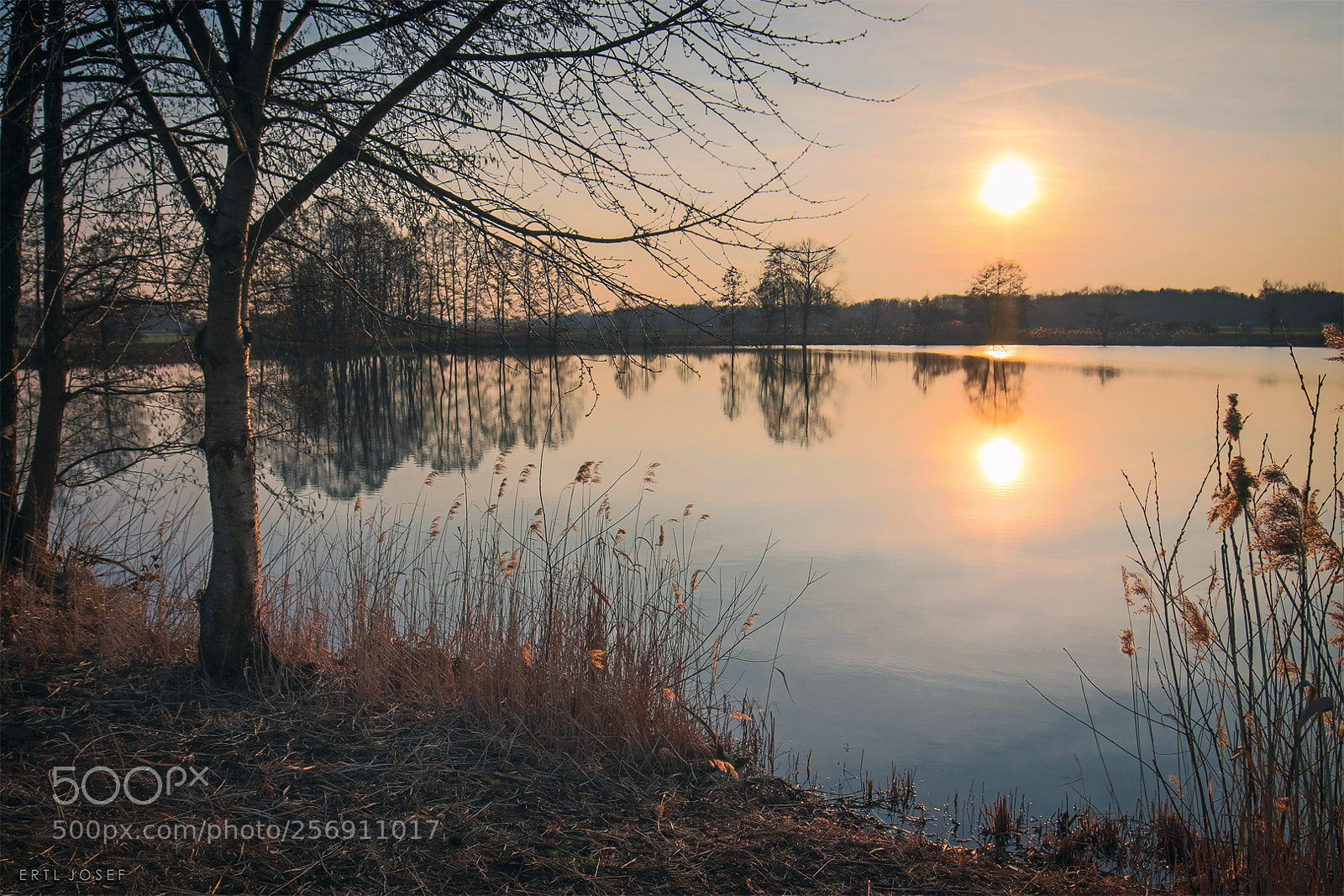 Canon EOS 70D sample photo. Silence photography