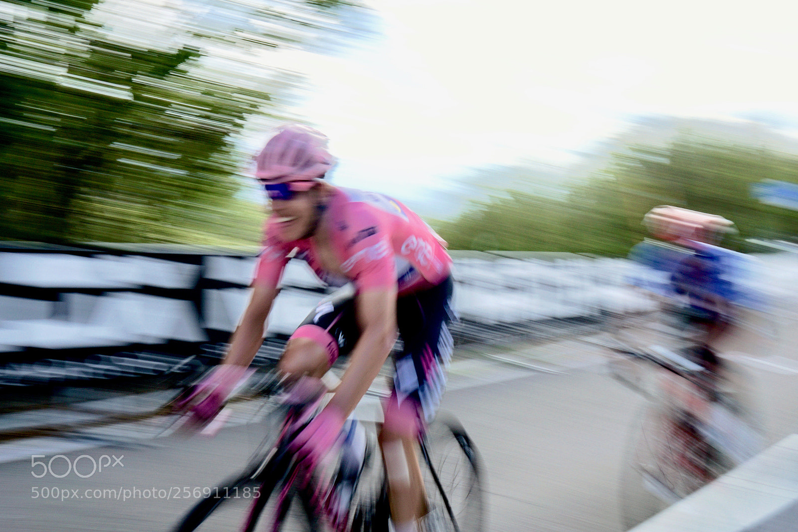 Sony a6000 sample photo. Fight for pink! photography