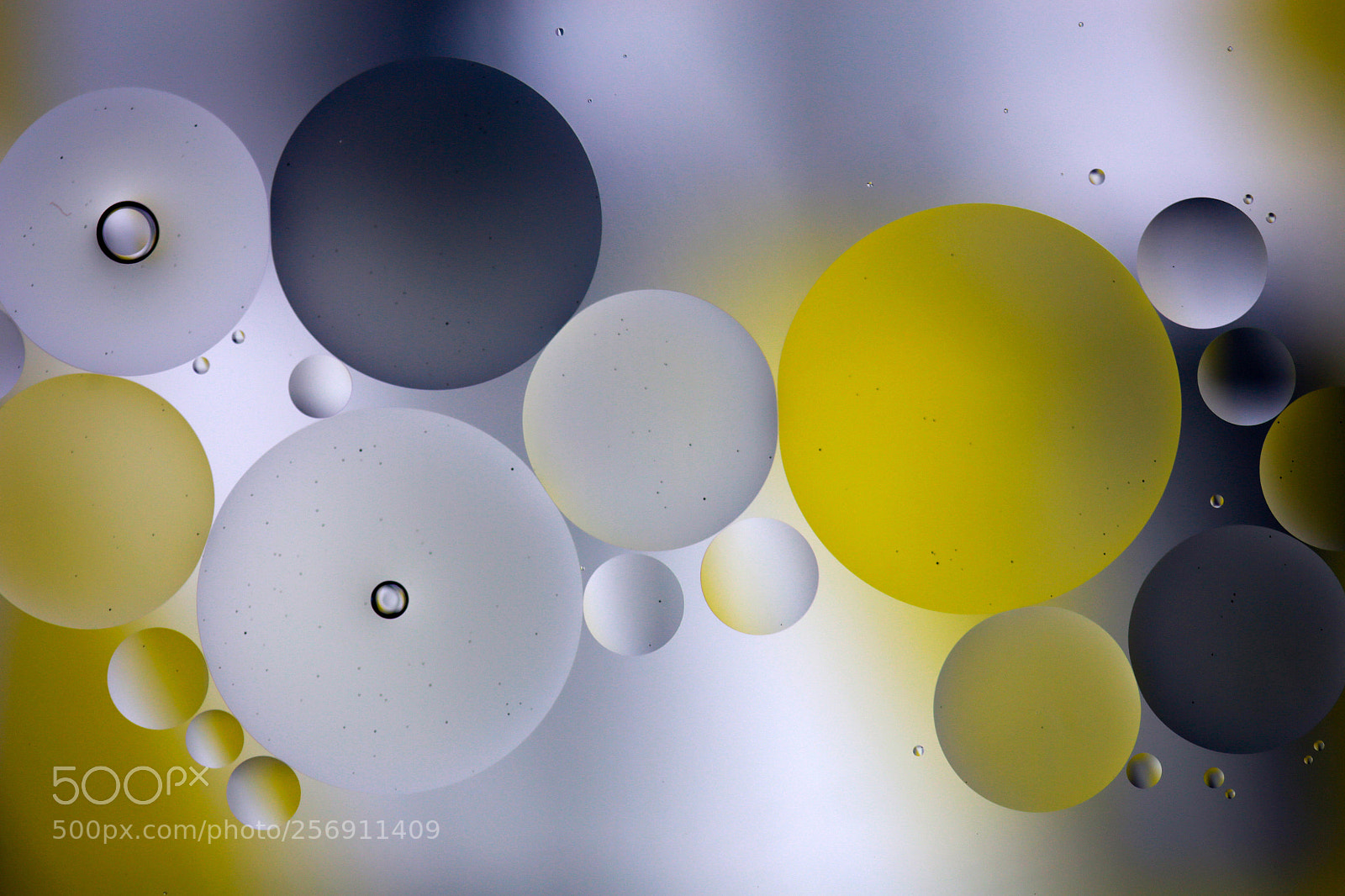 Canon EOS 6D sample photo. Untitled photography