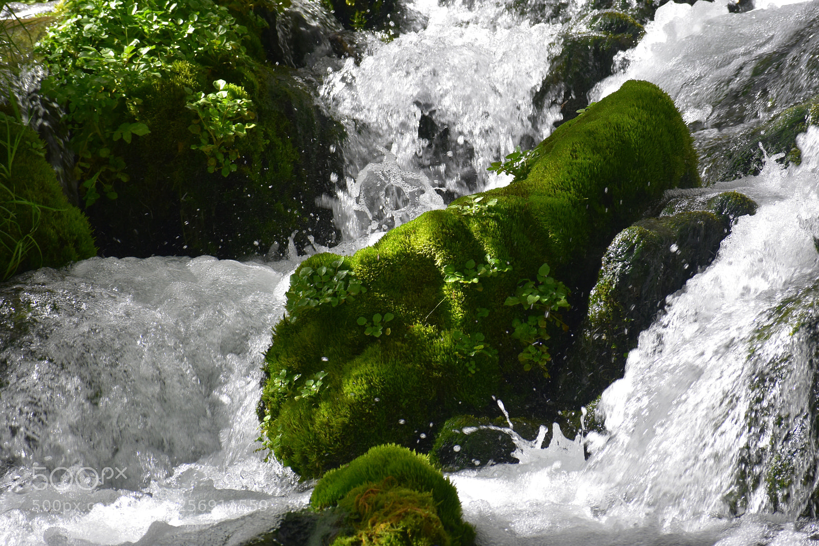 Nikon D3400 sample photo. Cascading  photography